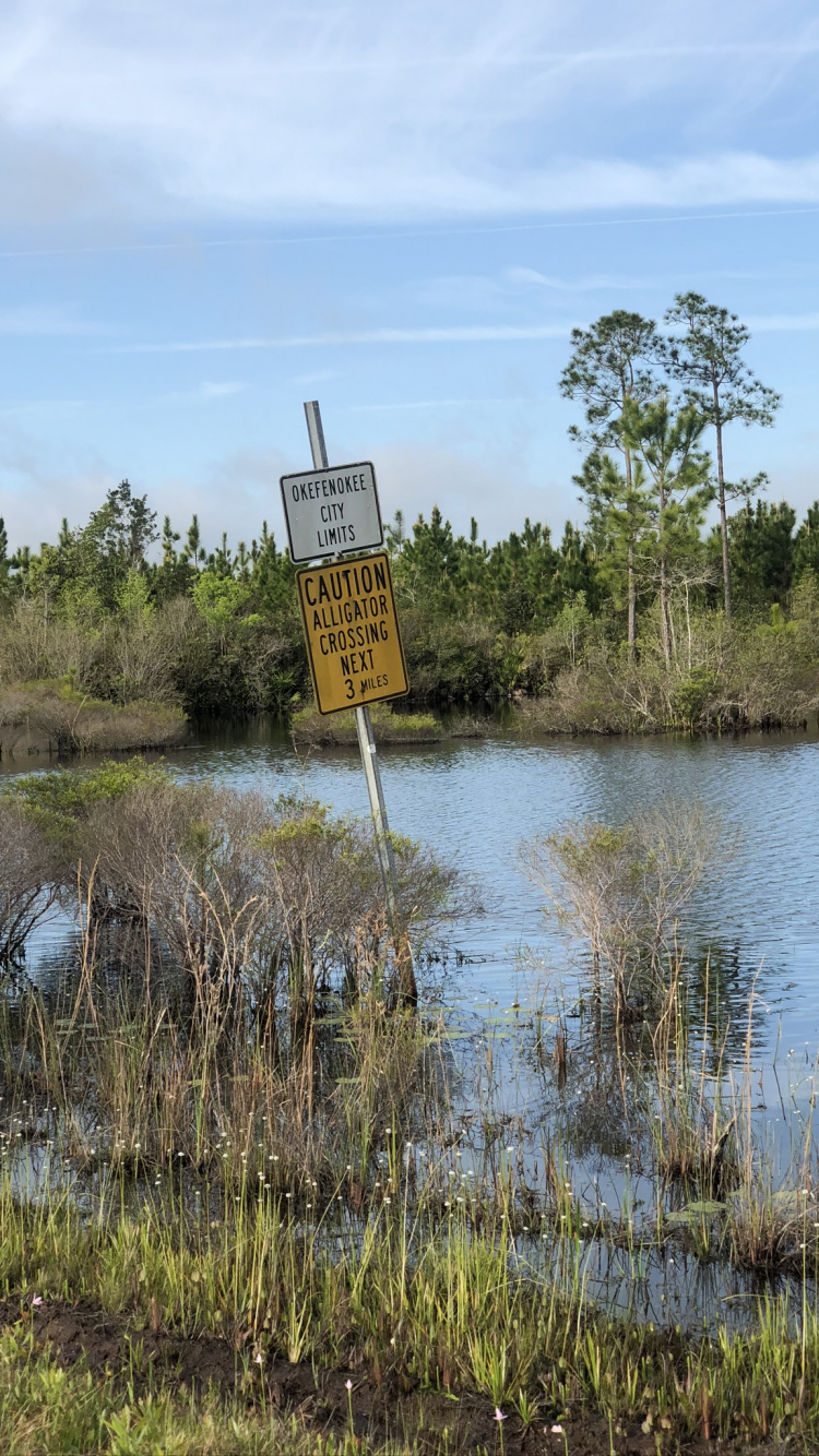 Nature Reserve, Vegetation, Natural Environment, Natural Landscape, Wetland. Wallpaper in 750x1334 Resolution