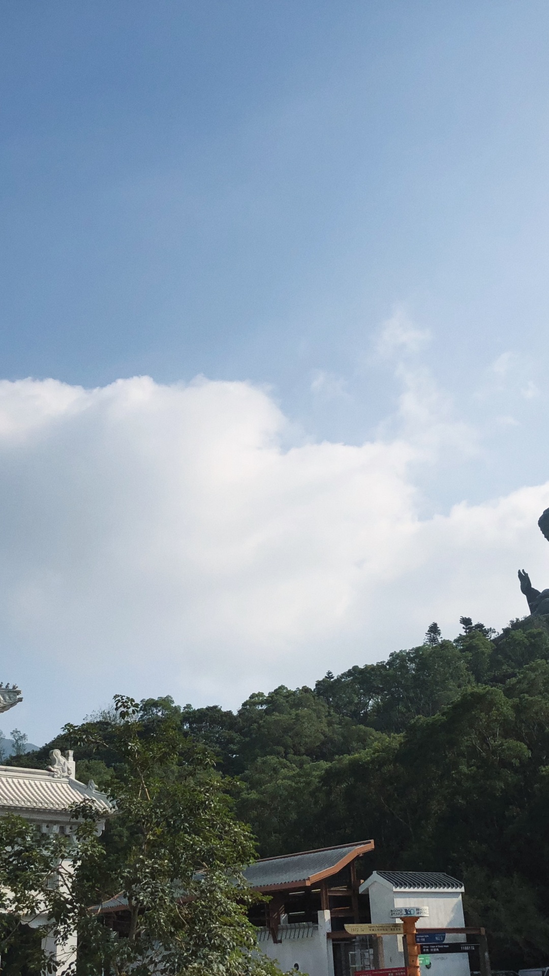 Tian Tan Buddha, Carretera, Las Formaciones Montañosas, Naturaleza, la Vegetación. Wallpaper in 1080x1920 Resolution