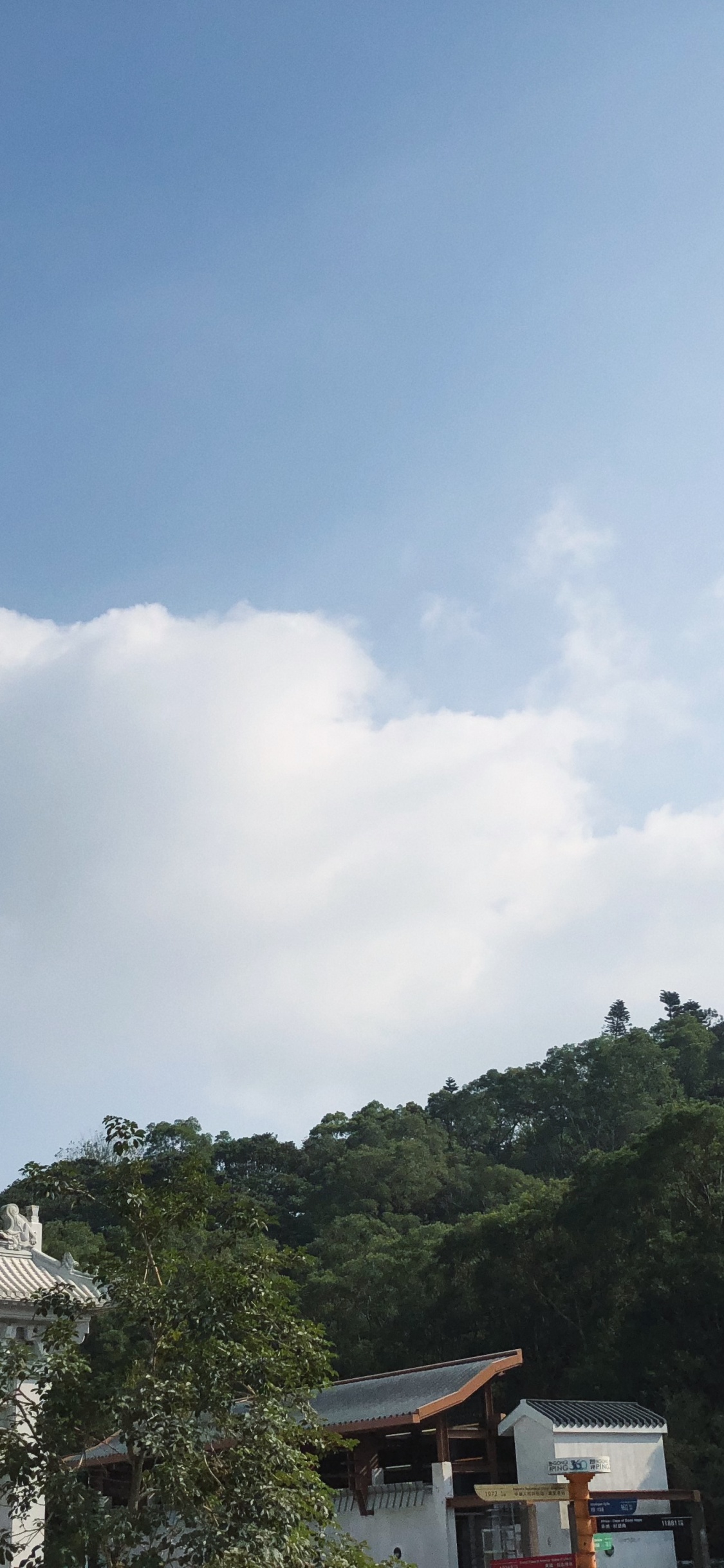 Tian Tan Buddha, Road, Mountainous Landforms, Nature, Vegetation. Wallpaper in 1125x2436 Resolution