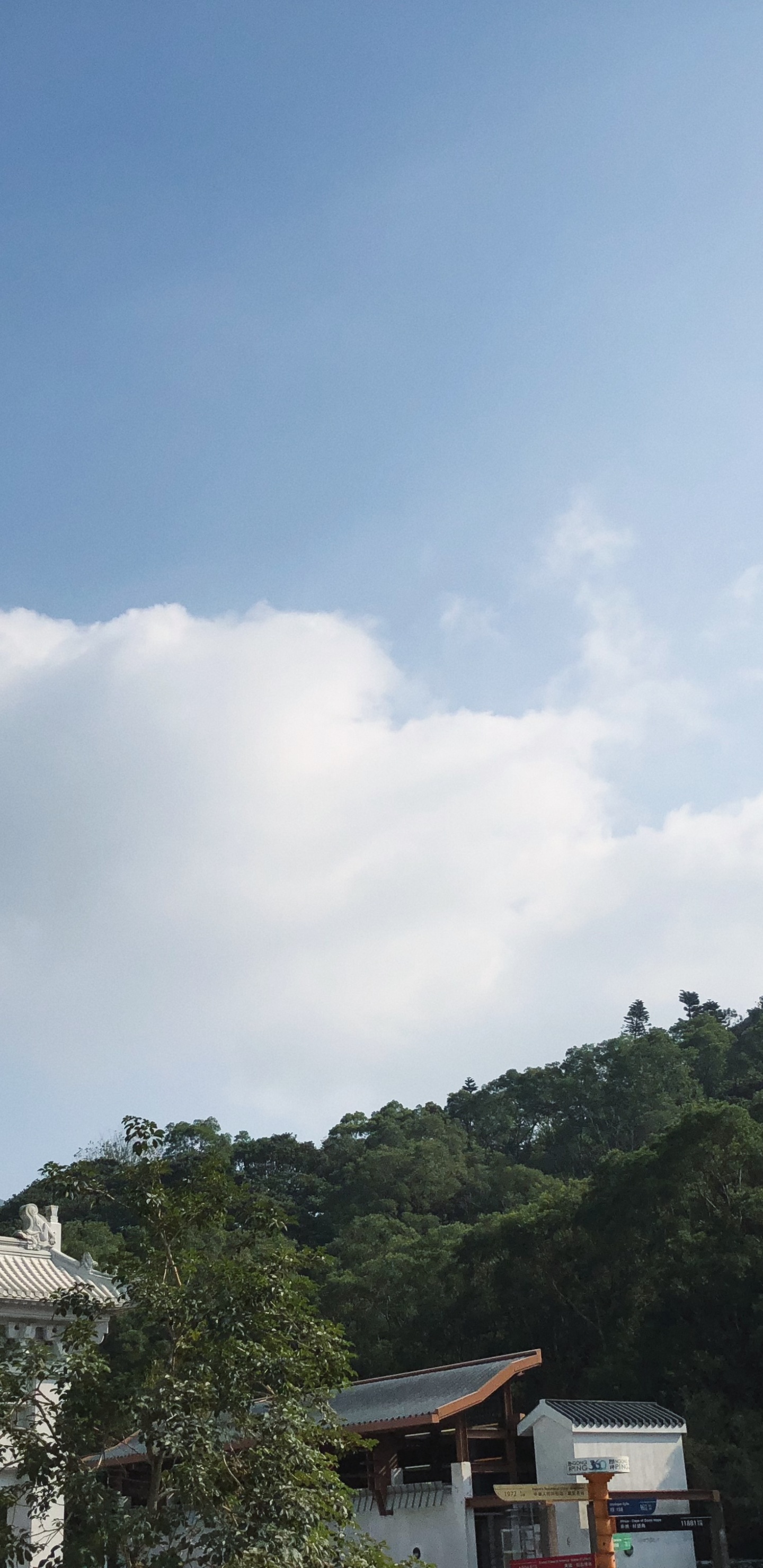 Tian Tan Buddha, Road, Mountainous Landforms, Nature, Vegetation. Wallpaper in 1440x2960 Resolution