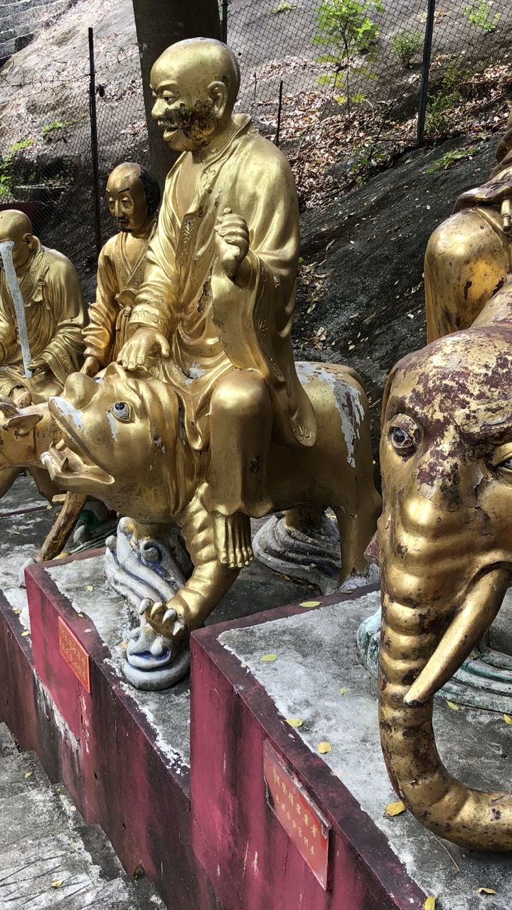 Statue, Stone Carving, Kopf, Gewässer, Natur. Wallpaper in 720x1280 Resolution