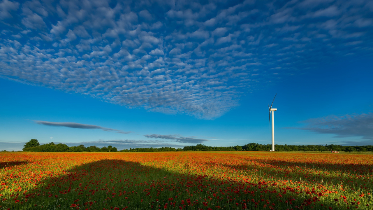 Turbina de Viento Blanco en Campo de Hierba Verde Bajo un Cielo Azul y Nubes Blancas Durante el Día. Wallpaper in 1280x720 Resolution
