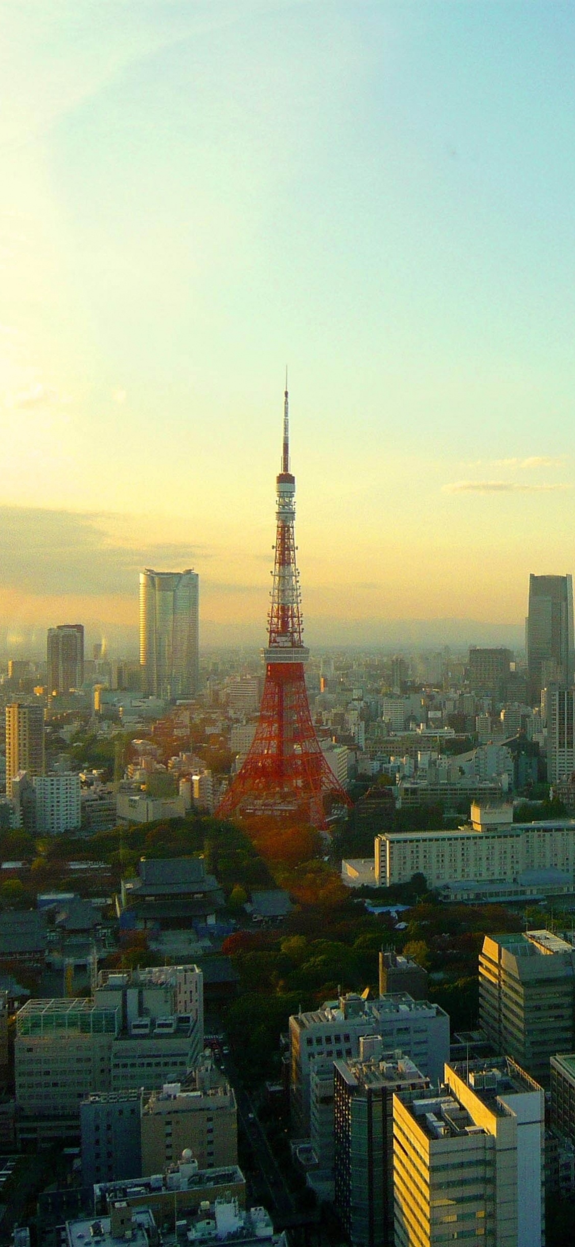东京塔, 城市, 城市景观, 大都会, 天际线 壁纸 1125x2436 允许