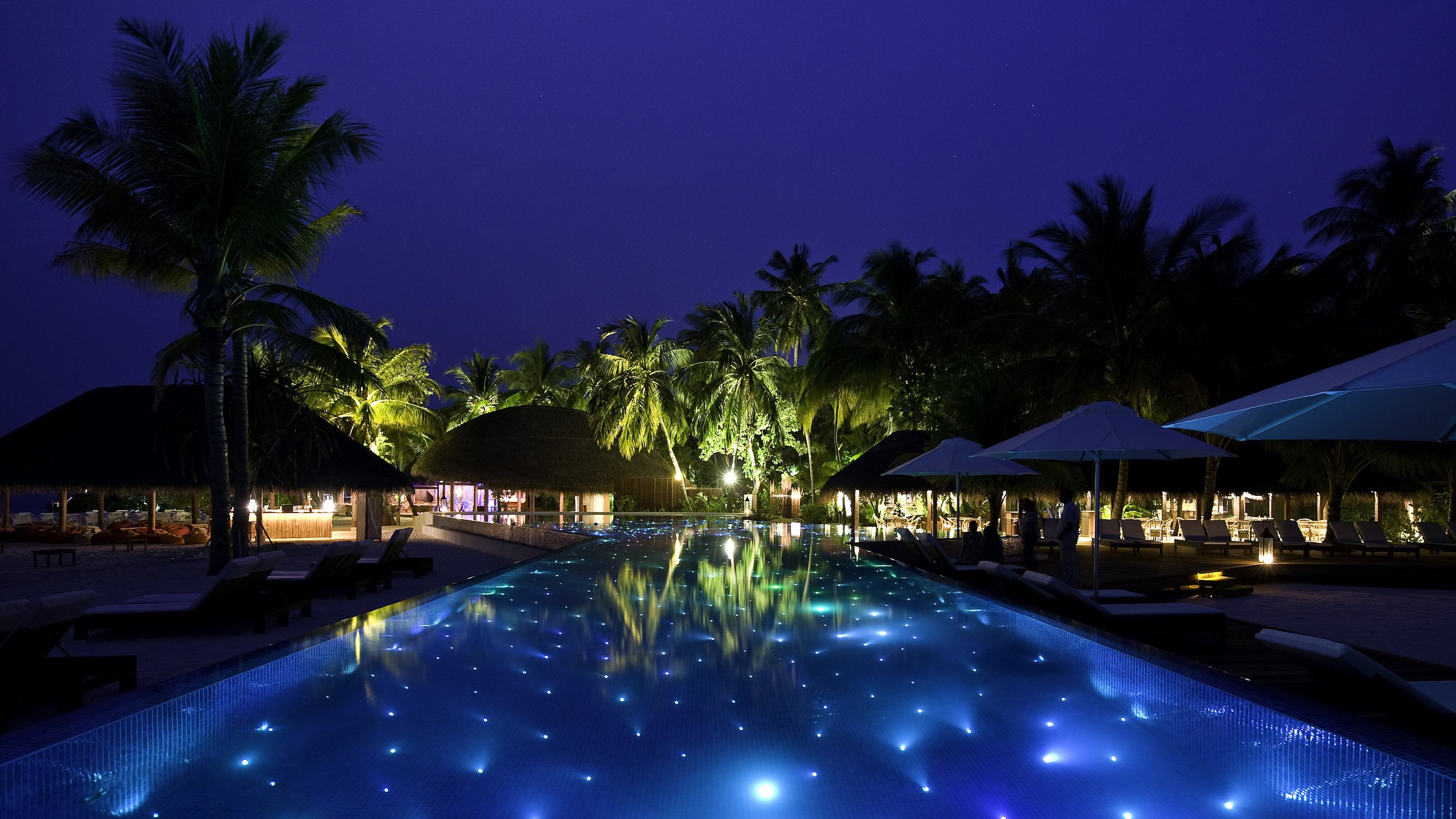 Palmiers Verts Près de la Piscine Pendant la Nuit. Wallpaper in 2560x1440 Resolution