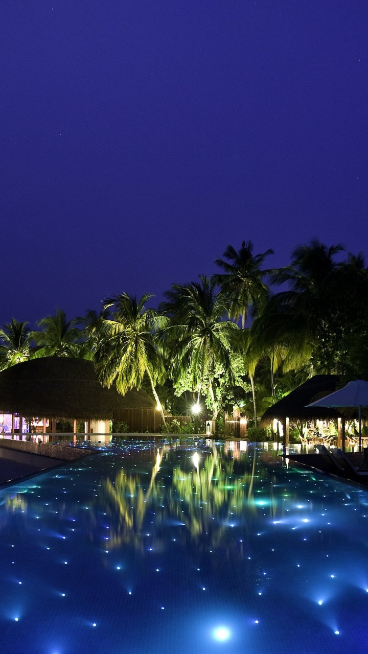 Palmeras Verdes Cerca de la Piscina Durante la Noche. Wallpaper in 720x1280 Resolution