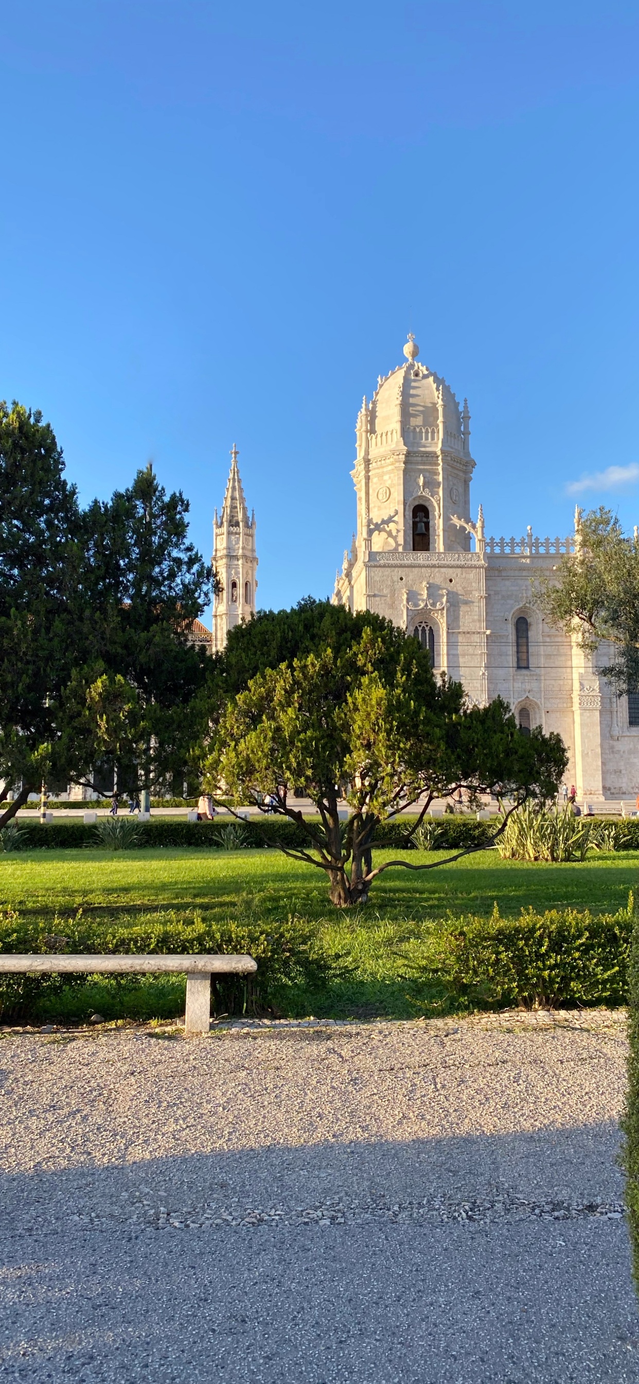 Arbusto, Jardin, Evergreen, Banco al Aire Libre, Parque. Wallpaper in 1242x2688 Resolution