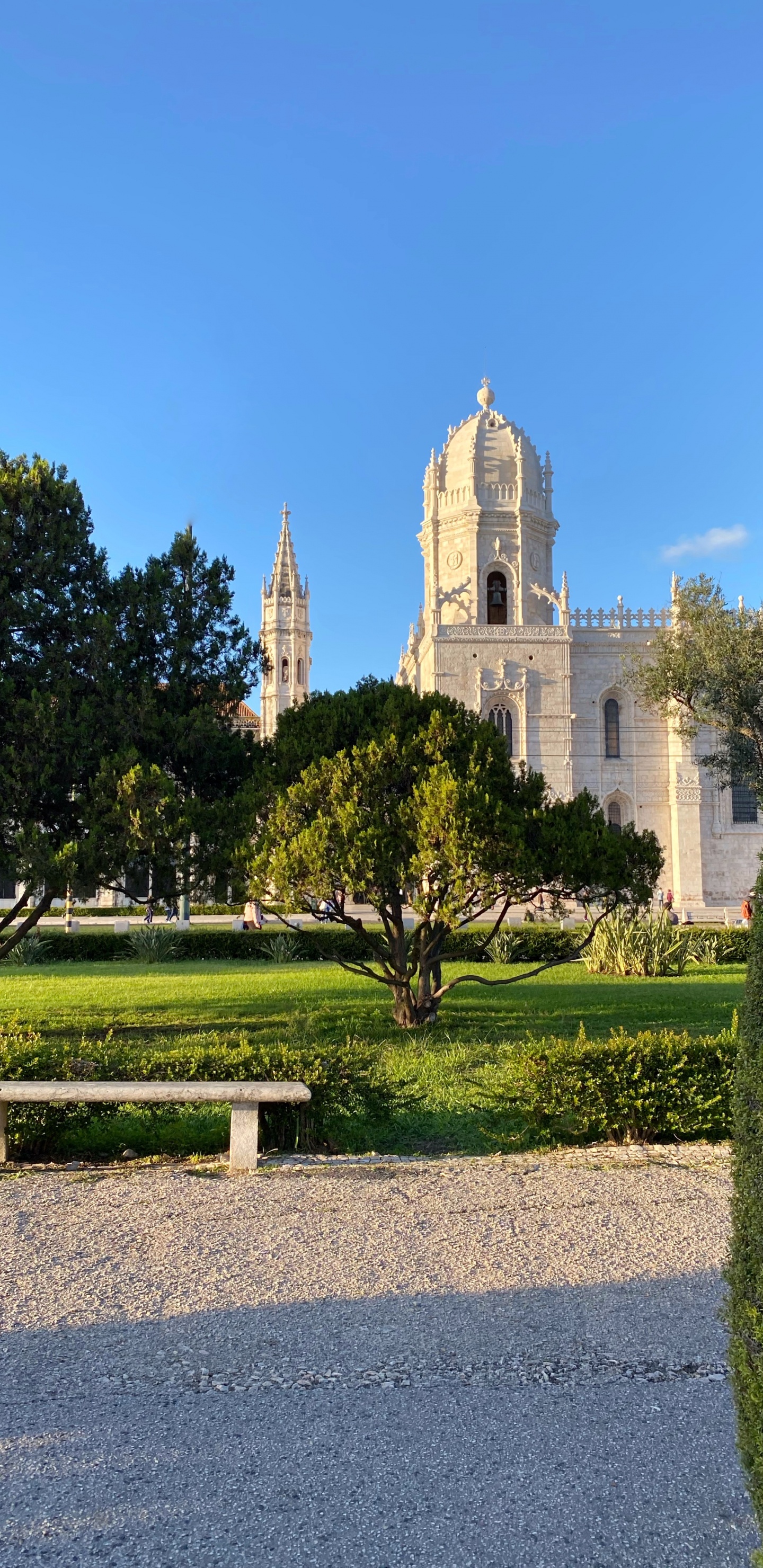 Arbusto, Jardin, Evergreen, Banco al Aire Libre, Parque. Wallpaper in 1440x2960 Resolution