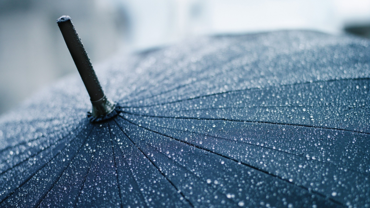 Black and White Umbrella in Close up Photography. Wallpaper in 1280x720 Resolution