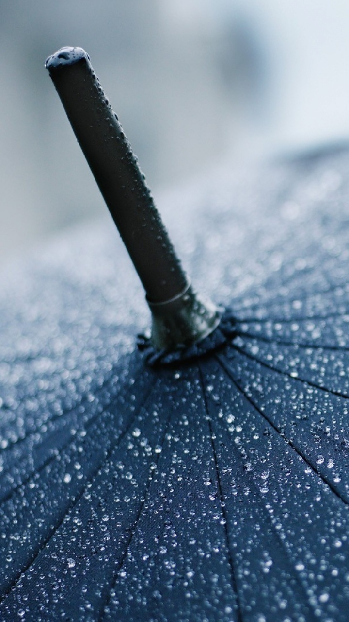 Black and White Umbrella in Close up Photography. Wallpaper in 720x1280 Resolution