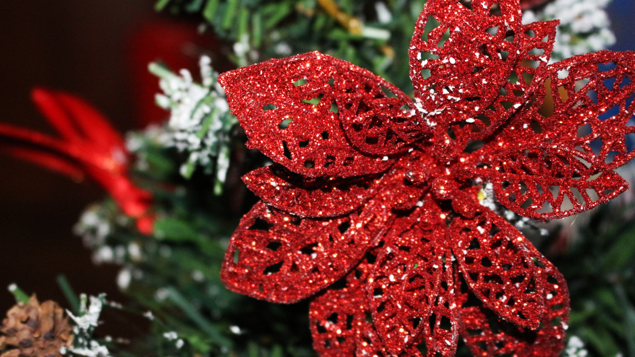 la Flor de Pascua, El Día De Navidad, Rojo, Adorno de Navidad, Decoración de la Navidad. Wallpaper in 1280x720 Resolution