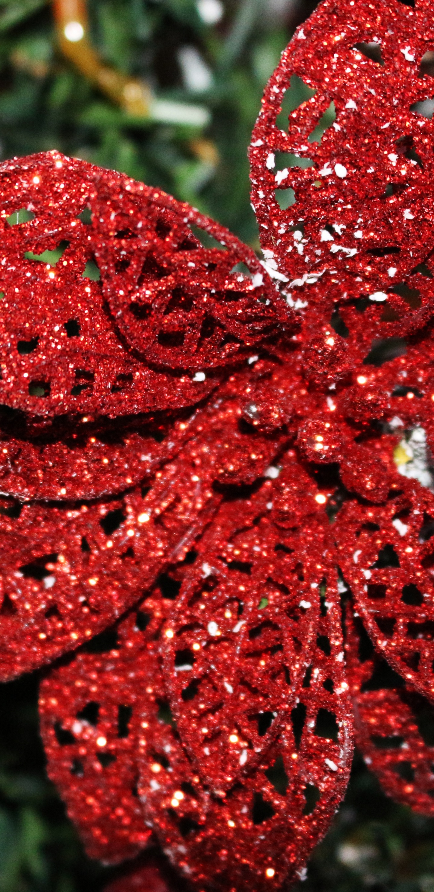 la Flor de Pascua, El Día De Navidad, Rojo, Adorno de Navidad, Decoración de la Navidad. Wallpaper in 1440x2960 Resolution