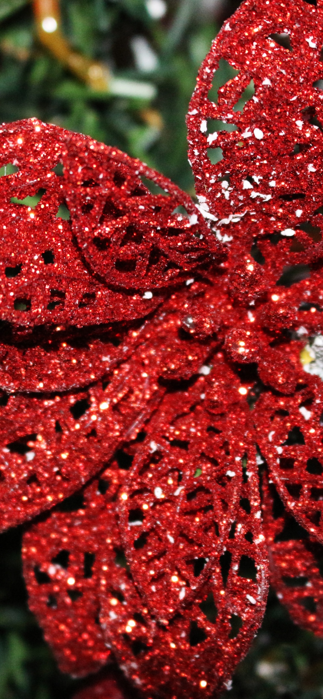 Weihnachtsstern, Weihnachten, Christmas Ornament, Weihnachtsdekoration, Verzierung. Wallpaper in 1242x2688 Resolution