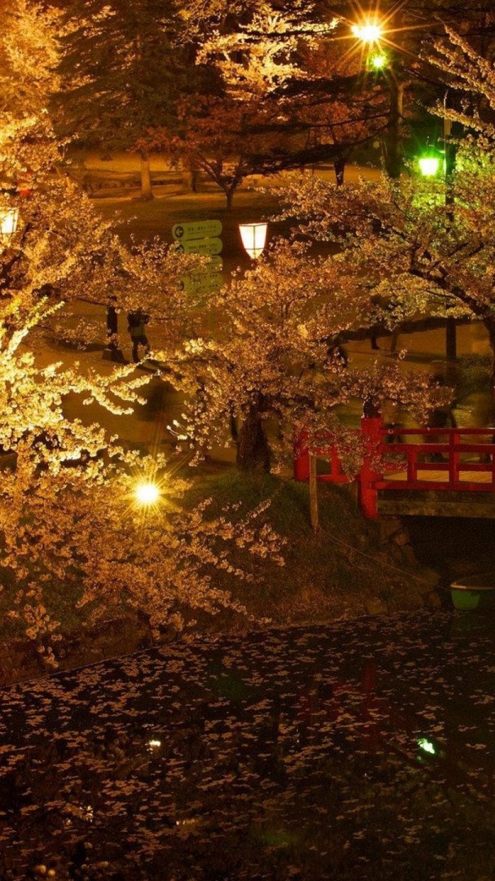 性质, 落叶, 孔雀草树, 森林, 日本花园 壁纸 720x1280 允许