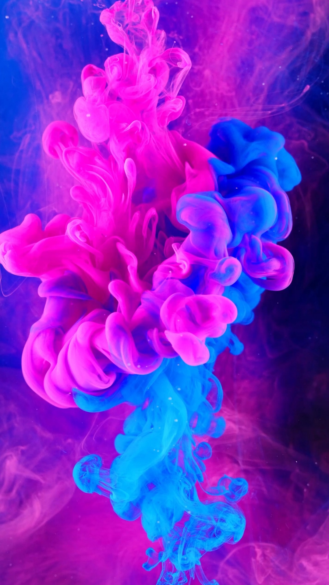 Jellyfish, Purple, Water, Petal, Underwater. Wallpaper in 1080x1920 Resolution