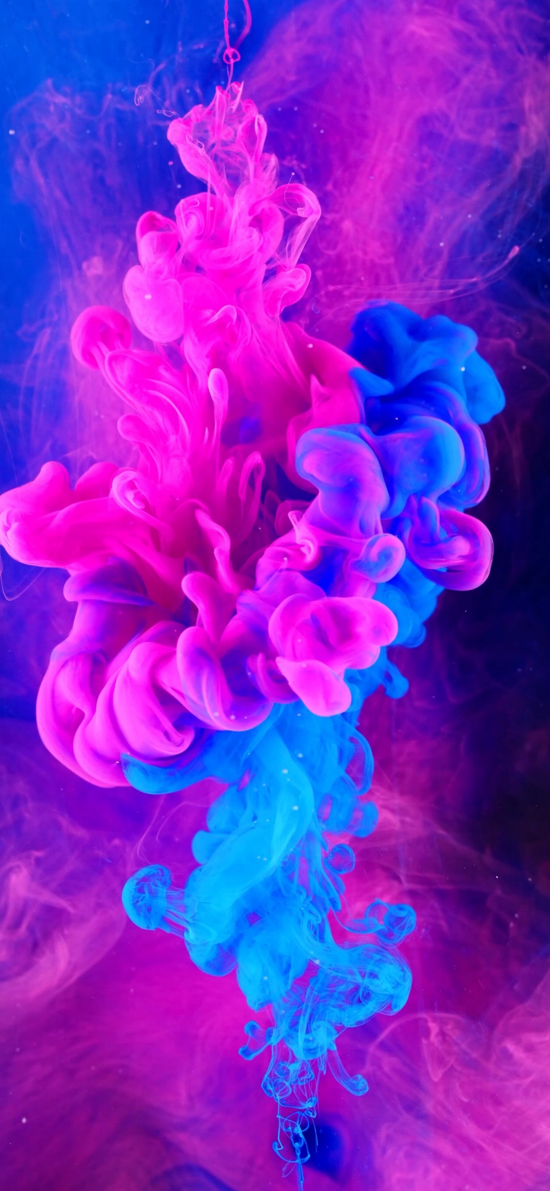 Jellyfish, Purple, Water, Petal, Underwater. Wallpaper in 1125x2436 Resolution