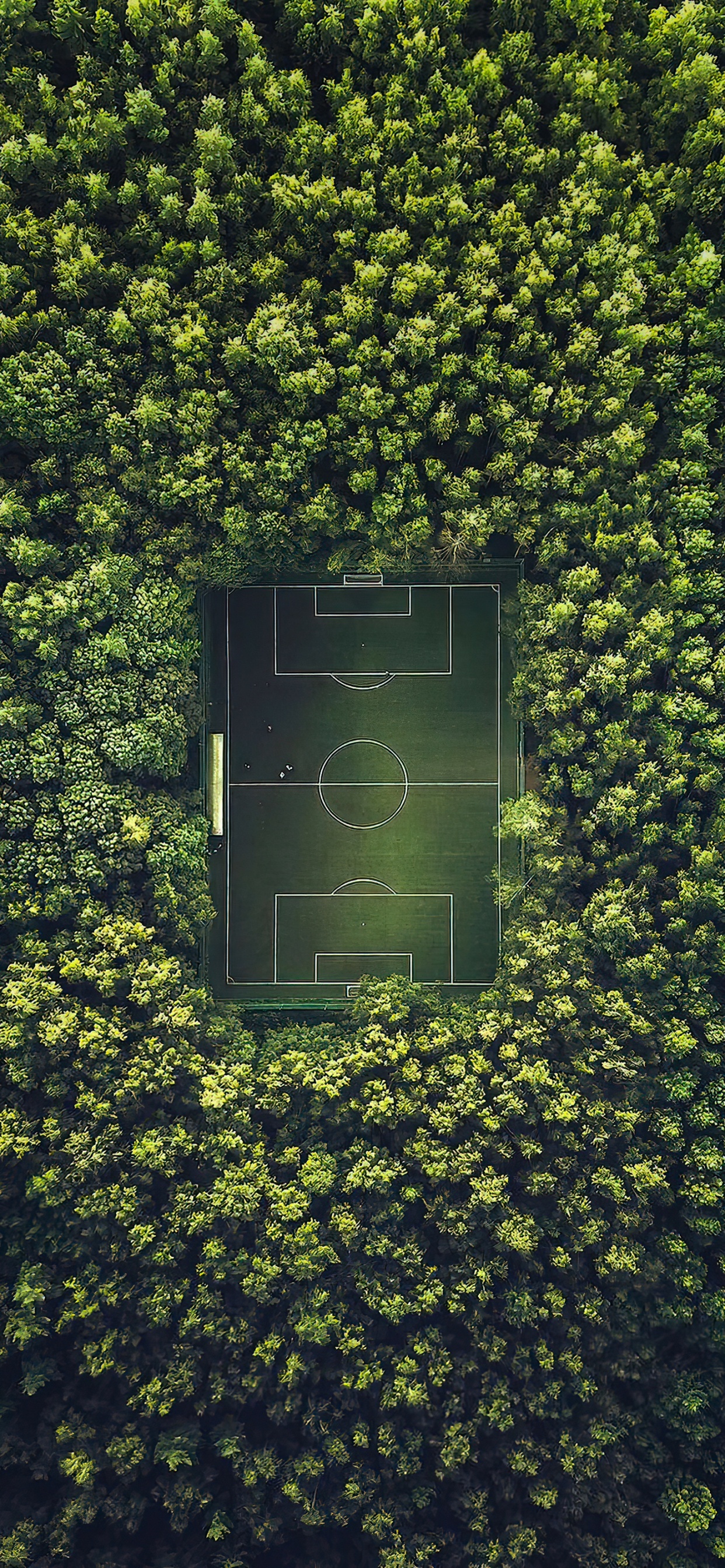 Campo de Futbol Moscu, Estadio Luzhniki, Campo de Fútbol, Estadio, Copa Del Mundo Fifa 2022. Wallpaper in 1242x2688 Resolution