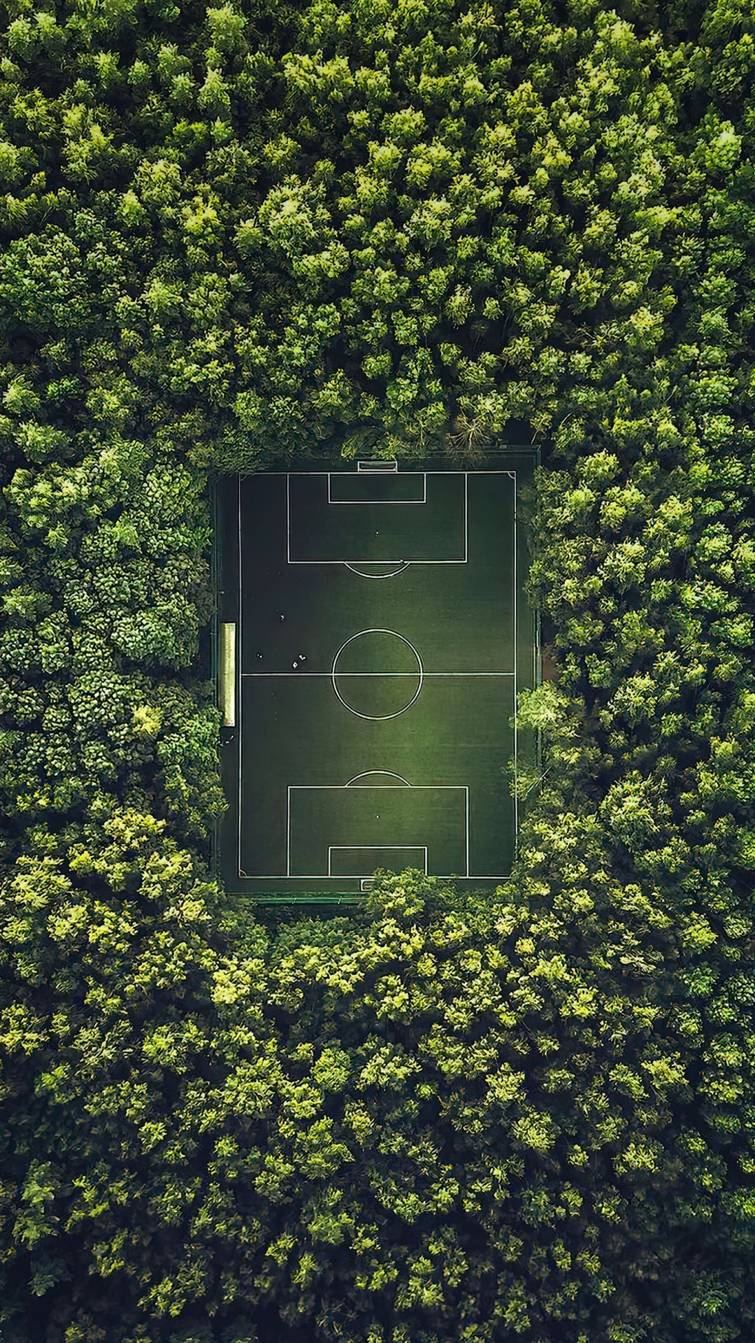 Soccer Field Moscow, Luzhniki Stadium, Football Pitch, Stadium, 2022 Fifa World Cup. Wallpaper in 1080x1920 Resolution