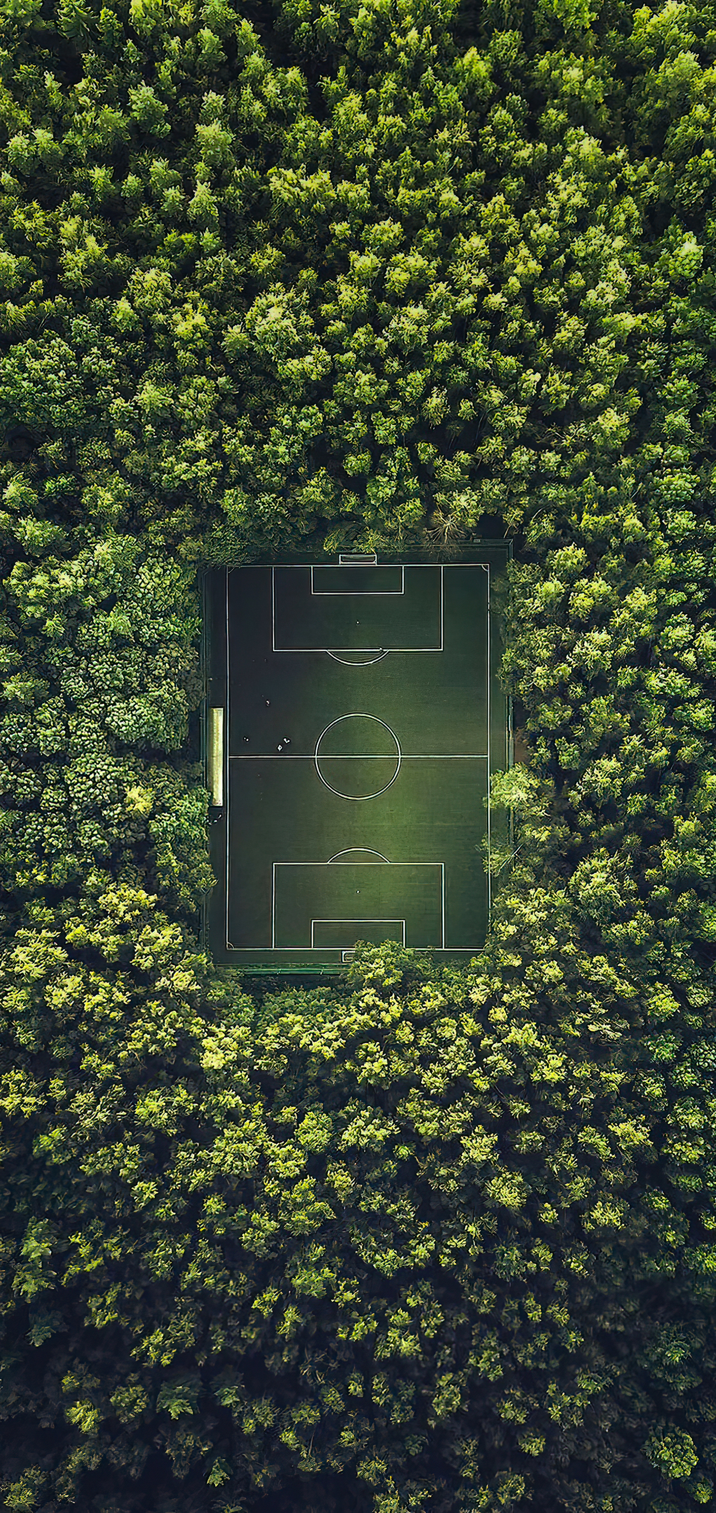 soccer field wallpaper