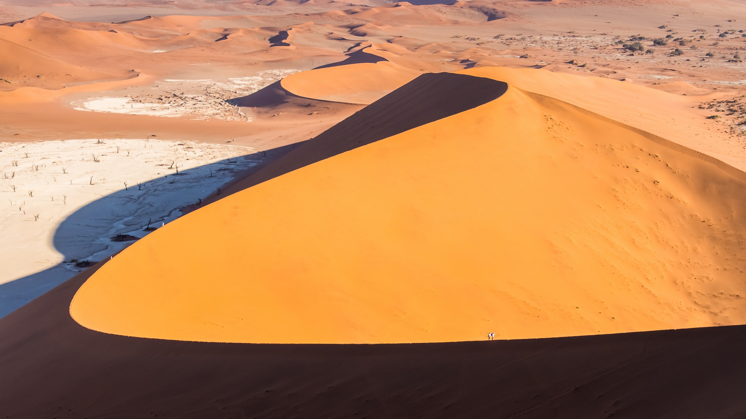 Blue and White Sand Beach During Daytime. Wallpaper in 2560x1440 Resolution