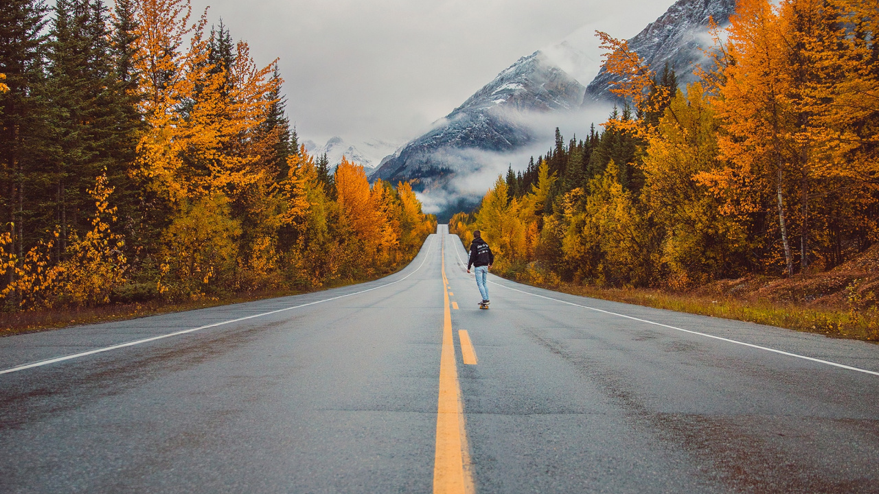 Road, Herbst, Lärche, Himmel, Fahrbahn. Wallpaper in 1280x720 Resolution