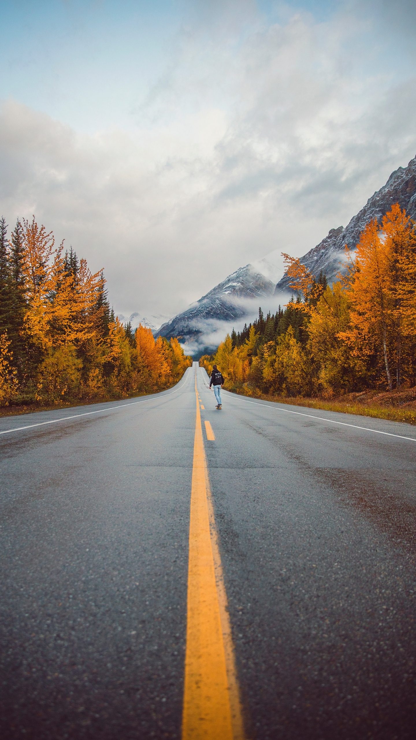 Road, Herbst, Lärche, Himmel, Fahrbahn. Wallpaper in 1440x2560 Resolution