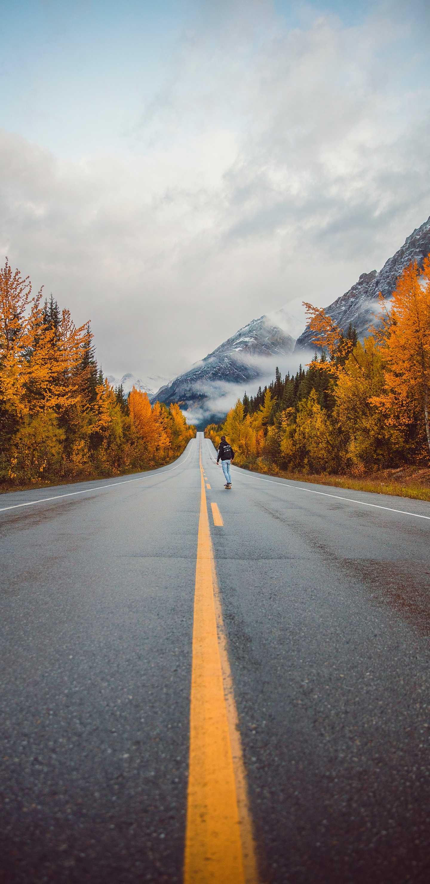 Road, Mountain, Autumn, Larch, Sky. Wallpaper in 1440x2960 Resolution