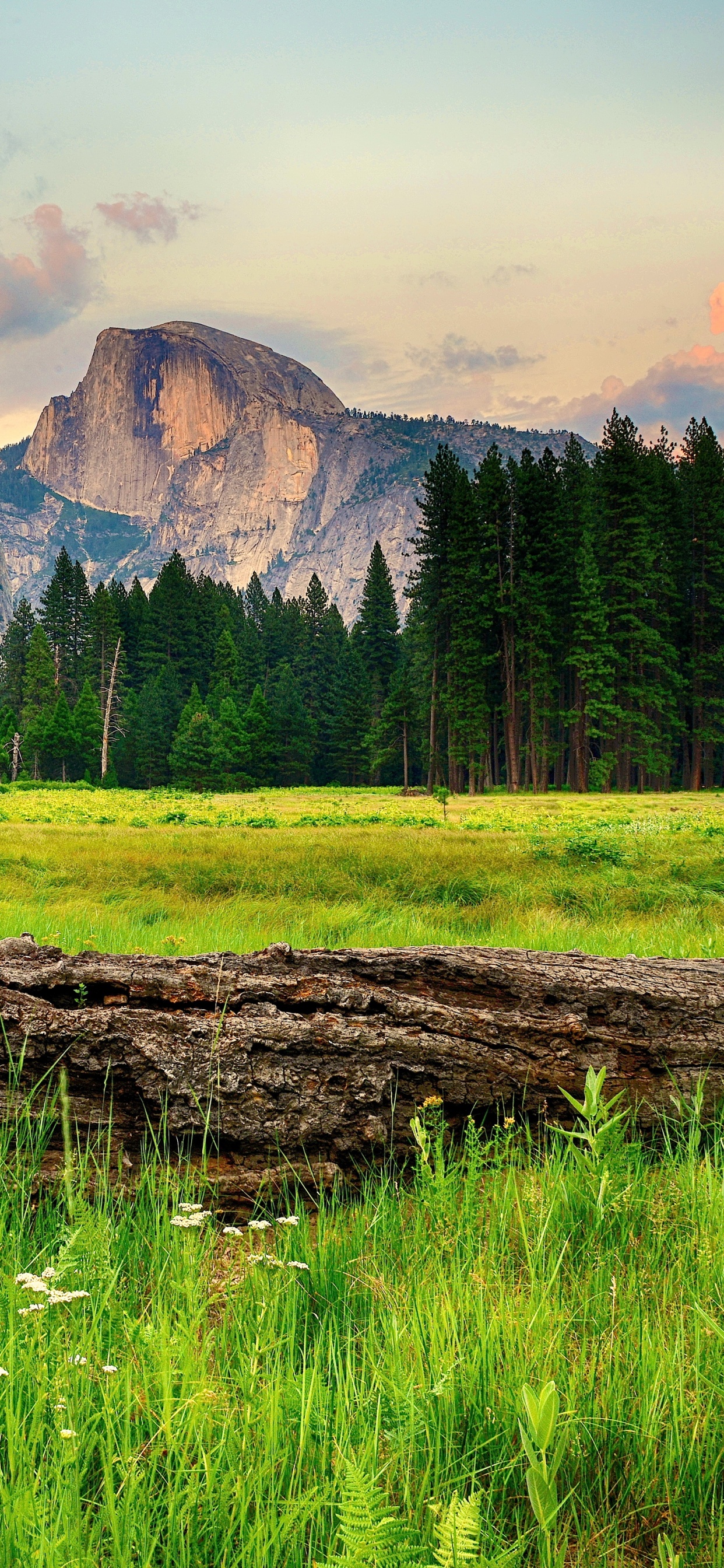Green Grass Field Near Mountain Under White Sky During Daytime. Wallpaper in 1242x2688 Resolution