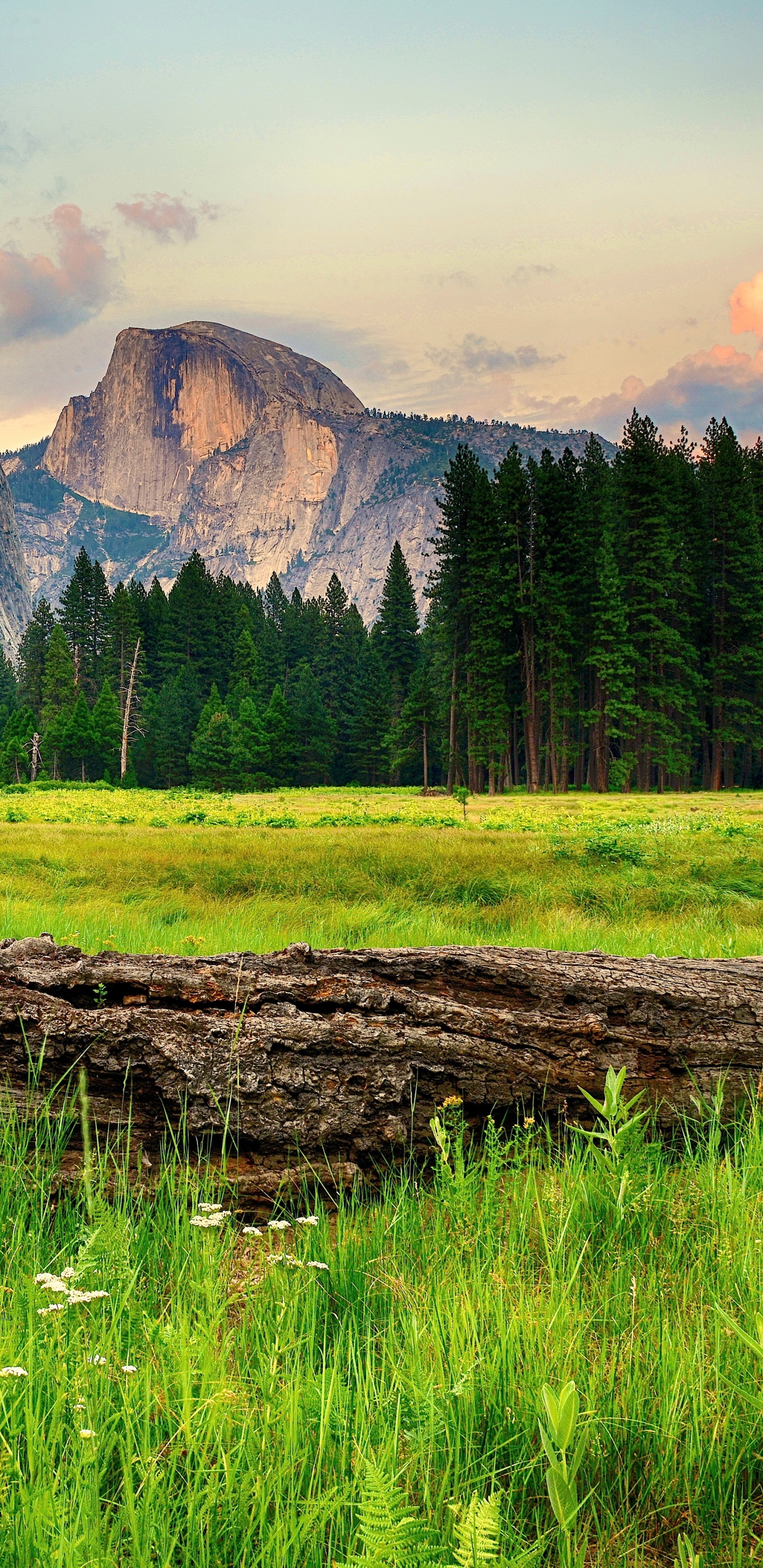 Green Grass Field Near Mountain Under White Sky During Daytime. Wallpaper in 1440x2960 Resolution