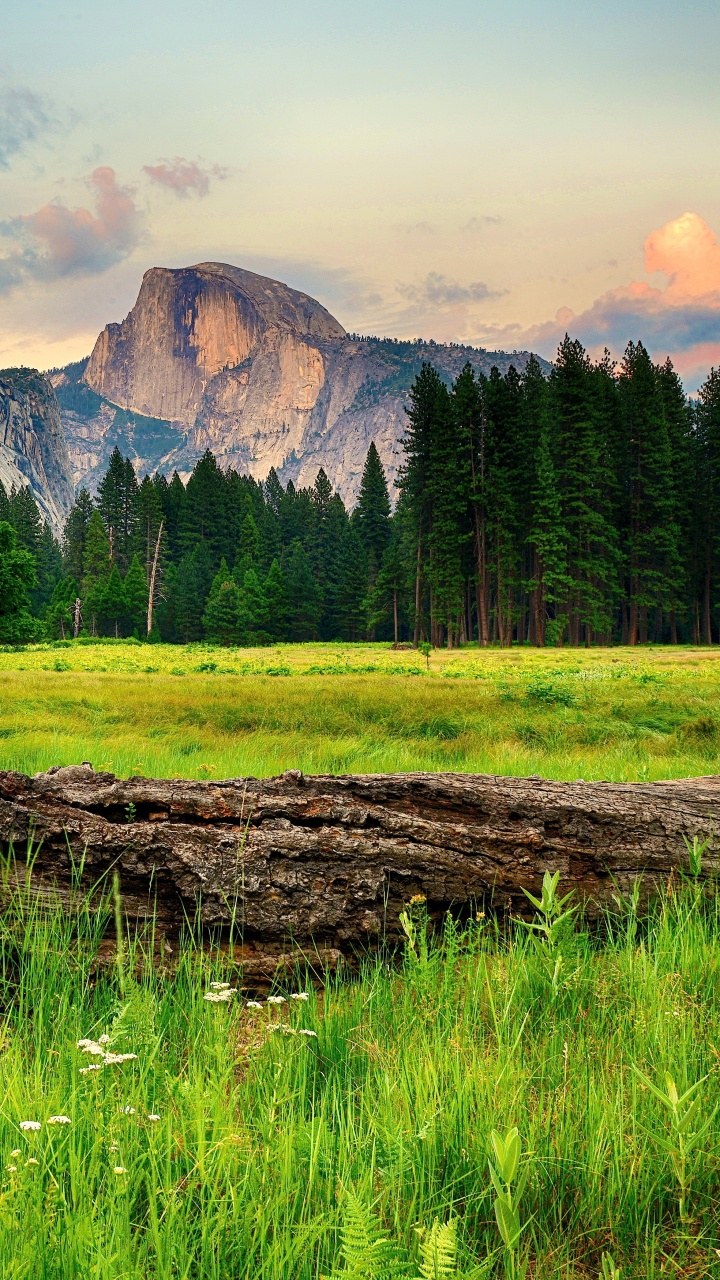 Green Grass Field Near Mountain Under White Sky During Daytime. Wallpaper in 720x1280 Resolution
