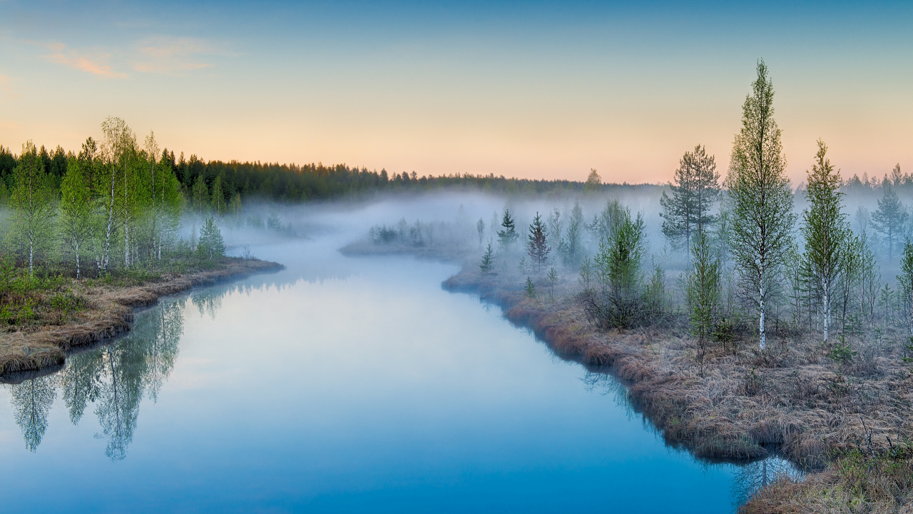 Green Trees on Body of Water During Daytime. Wallpaper in 1280x720 Resolution