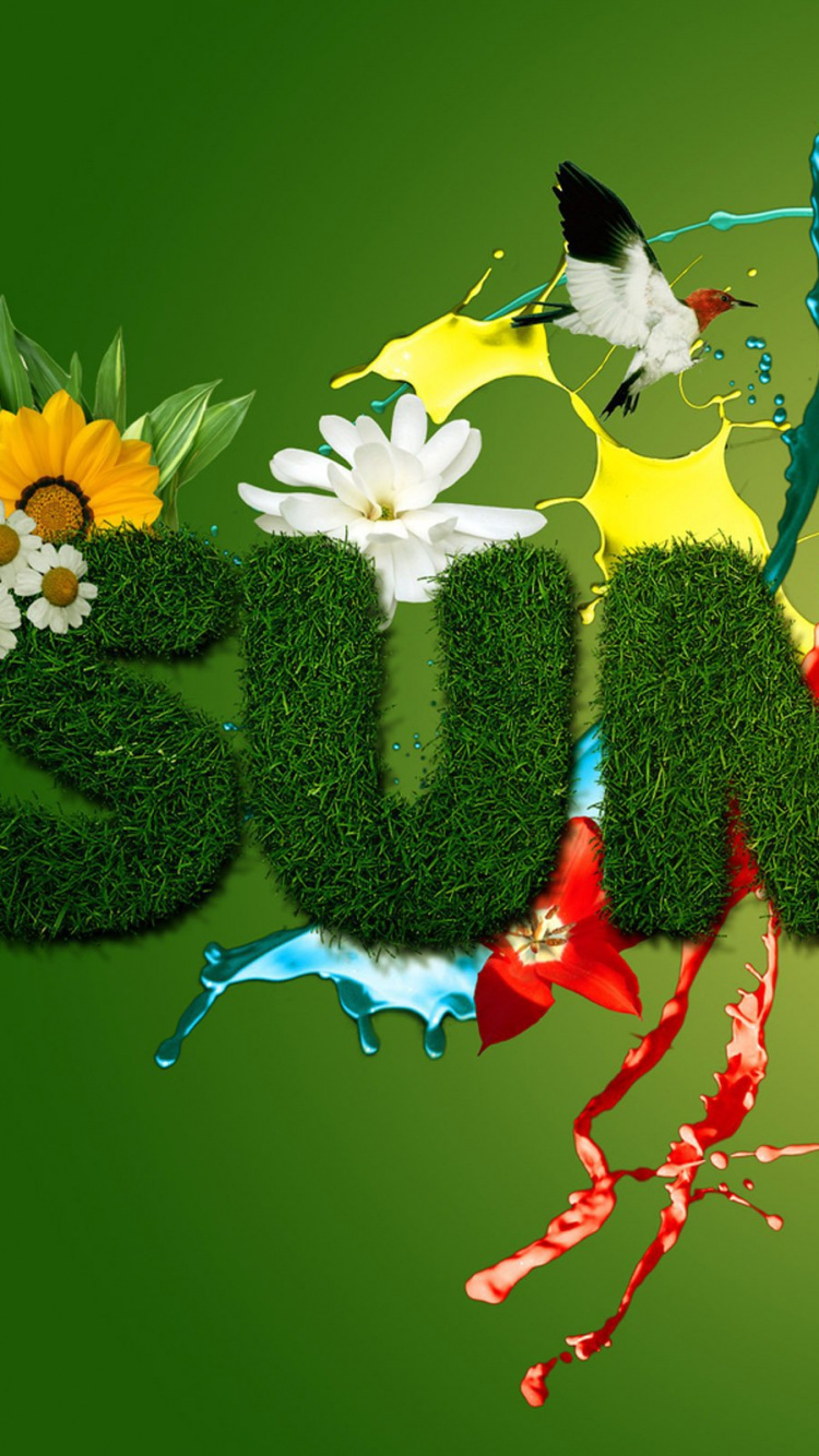 Weiße Und Rote Vögel Auf Grüner Kiefer. Wallpaper in 750x1334 Resolution