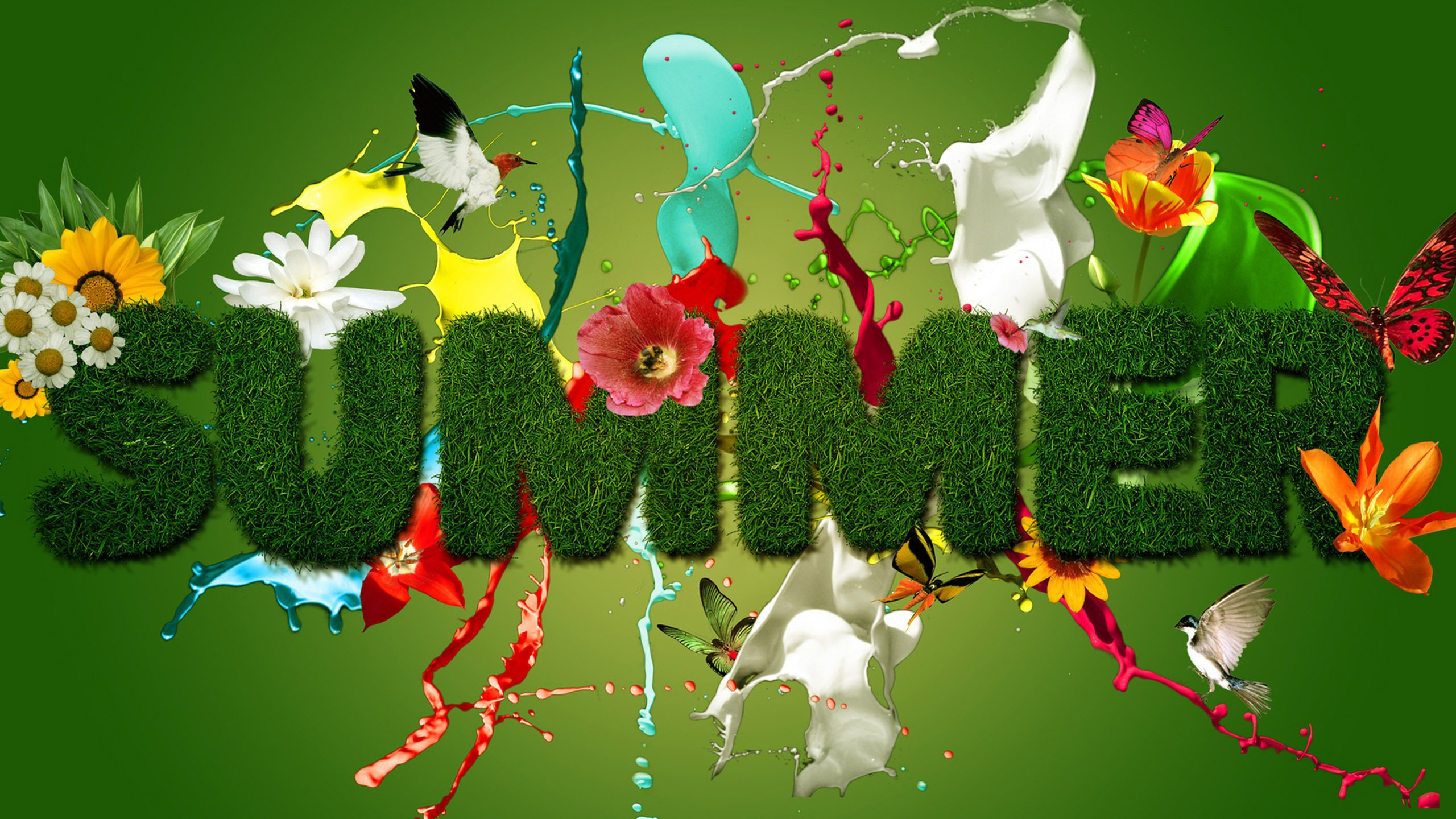 夏天, 绿色的, 艺术, 草, 显花植物 壁纸 2560x1440 允许