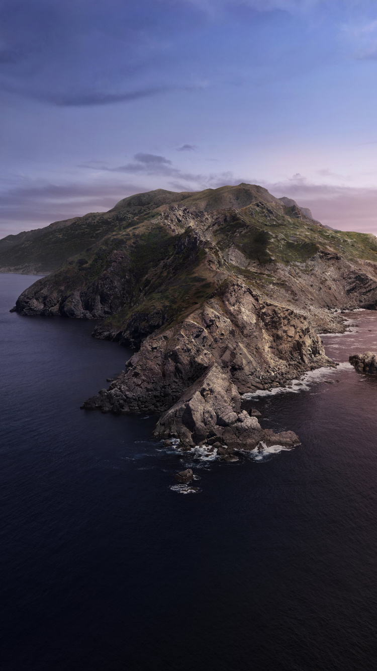 Macbook, Macbook Pro, Apple, MacOS Catalina, Äpfeln. Wallpaper in 750x1334 Resolution