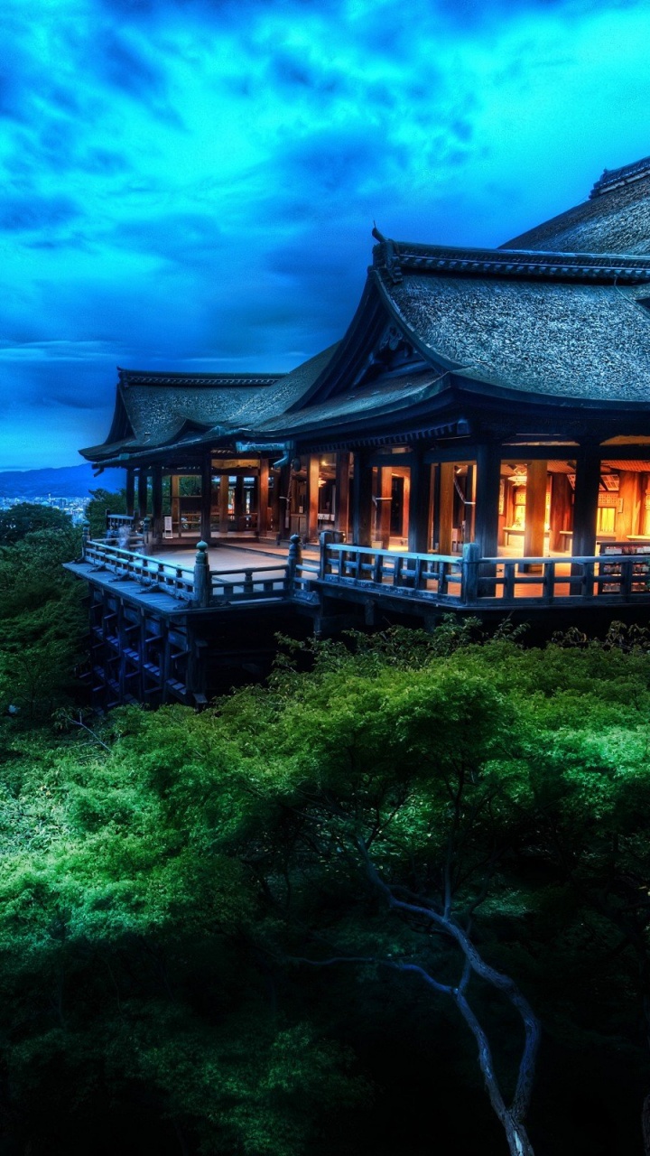 Casa de Madera Marrón en el Bosque Verde Durante el Día. Wallpaper in 720x1280 Resolution