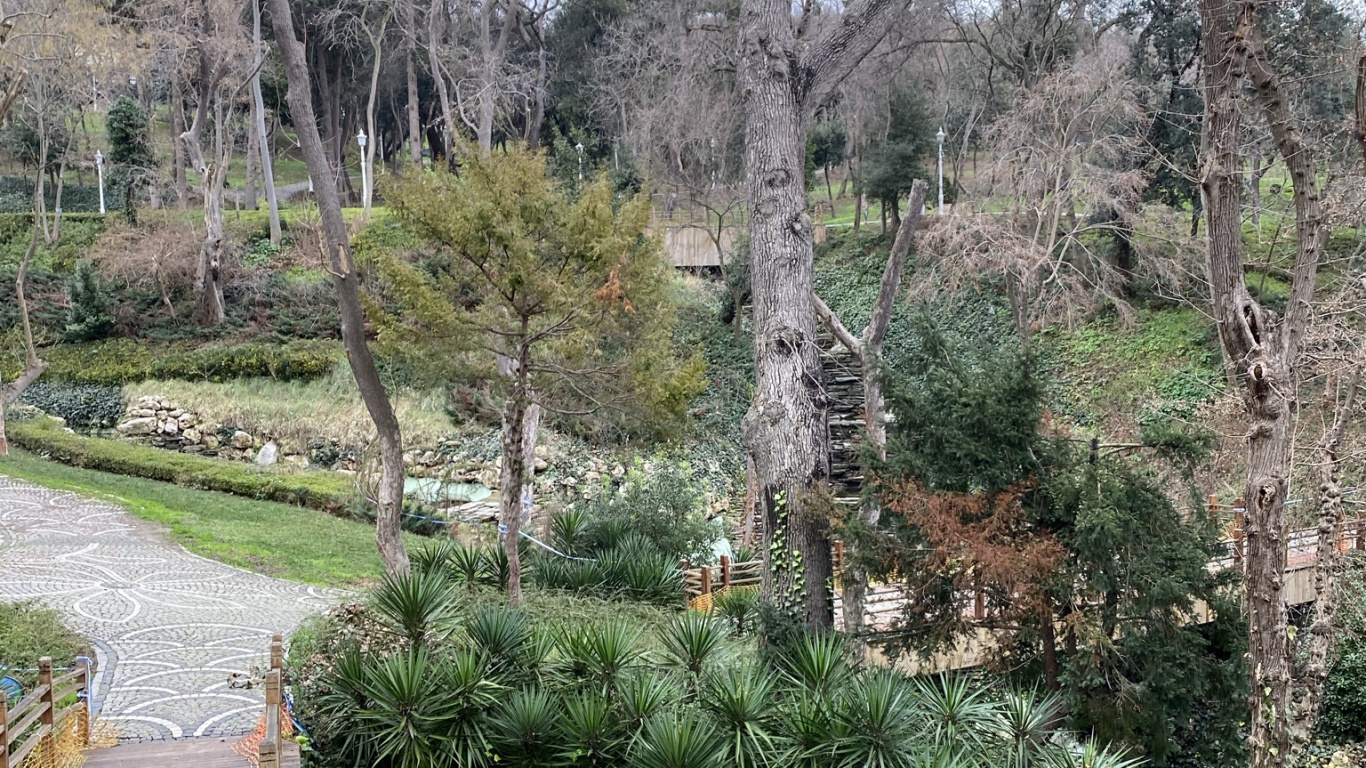 植被, 植物园, 自然景观, 地被, 灌木 壁纸 1366x768 允许