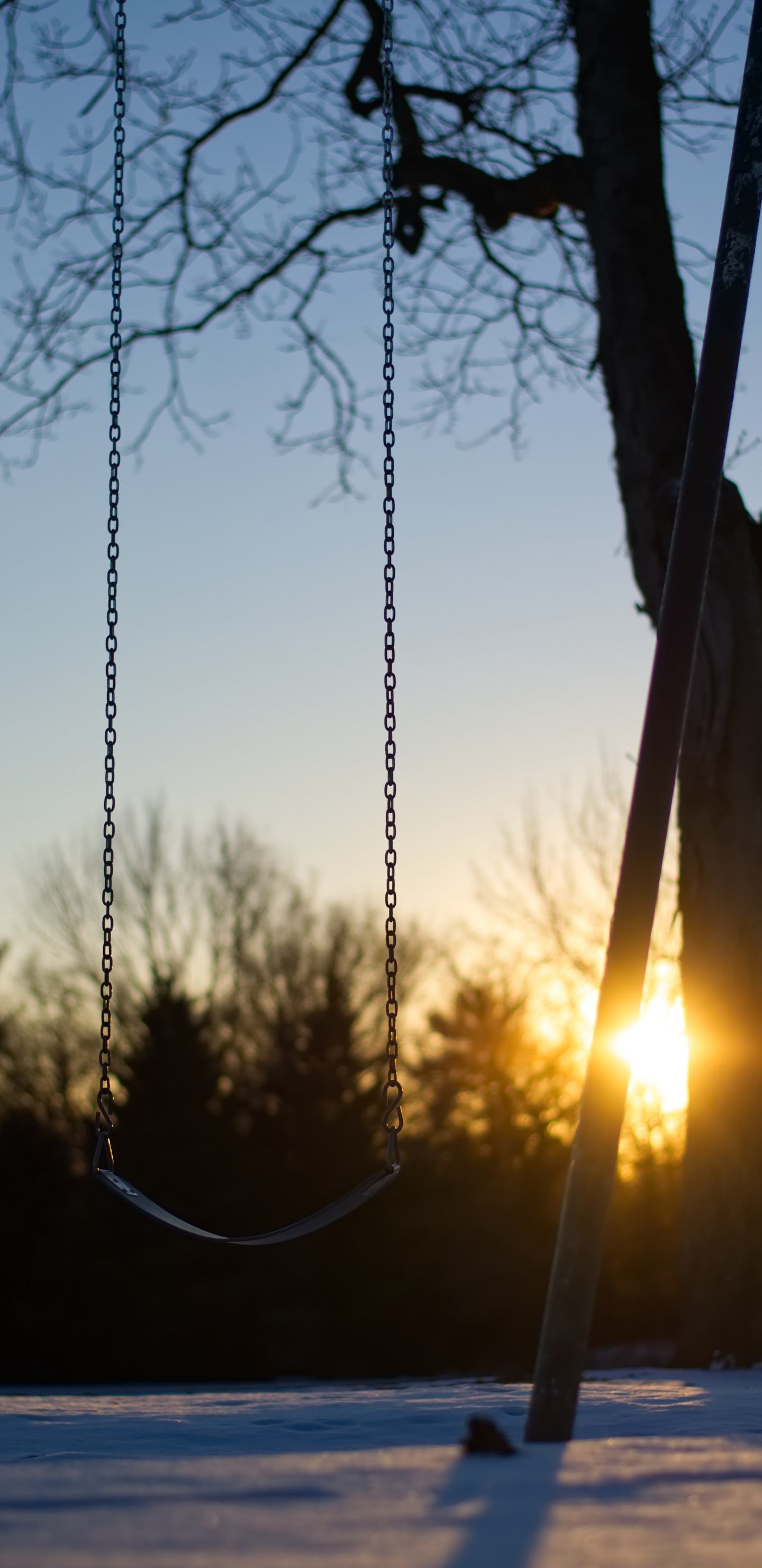 早上, 阳光, 草家庭, 日落, 天空 壁纸 1440x2960 允许