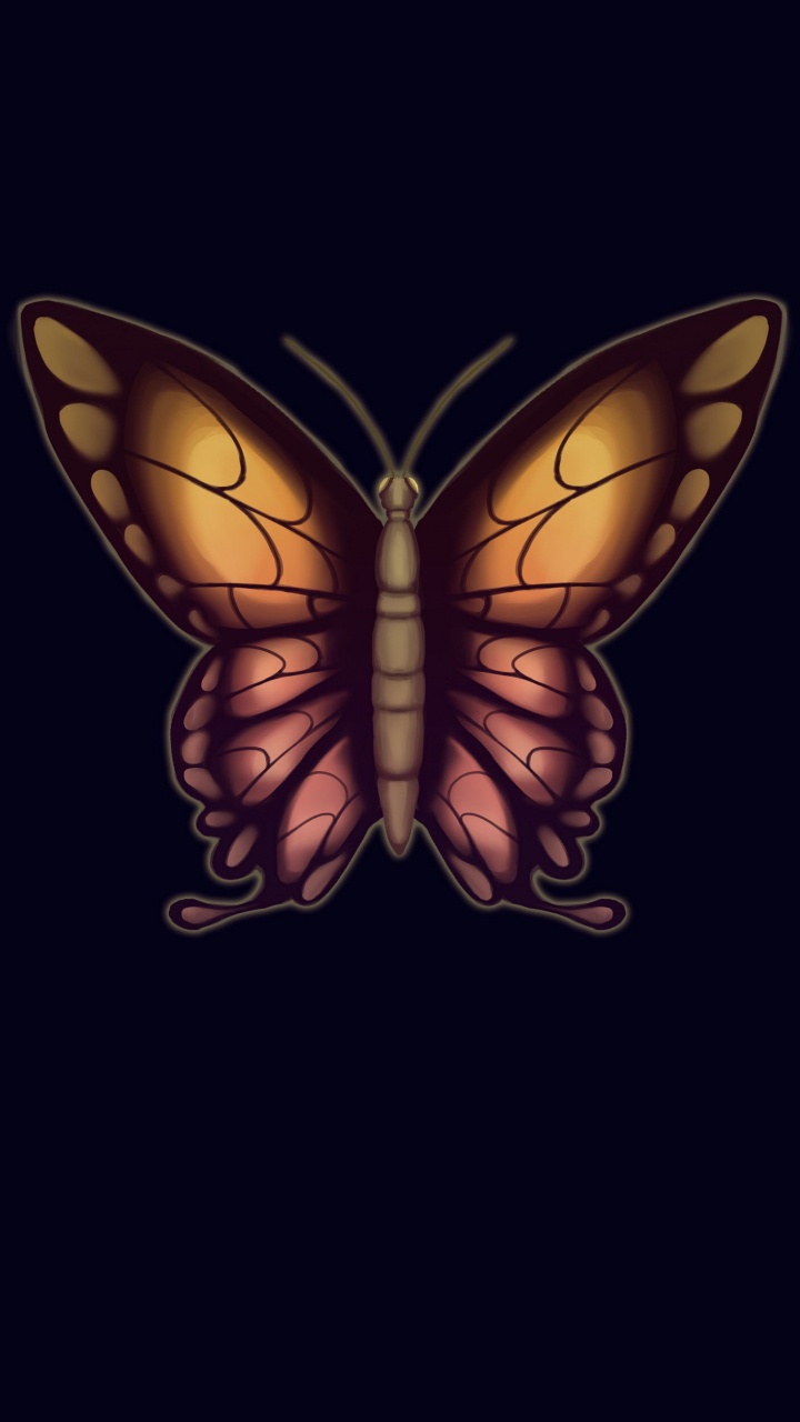 Nachtfalter, Monarch-Schmetterling, Arthropoden, Insekten, Bestäuber. Wallpaper in 720x1280 Resolution