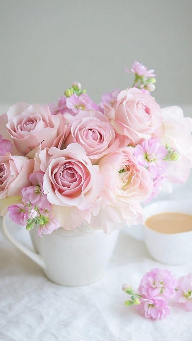 Roses Roses et Blanches Dans un Vase en Céramique Blanche. Wallpaper in 750x1334 Resolution