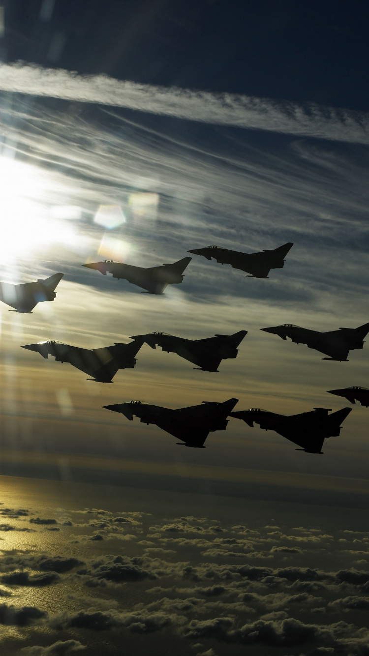 Silueta de Pájaros Volando Sobre el Mar Durante la Puesta de Sol. Wallpaper in 750x1334 Resolution