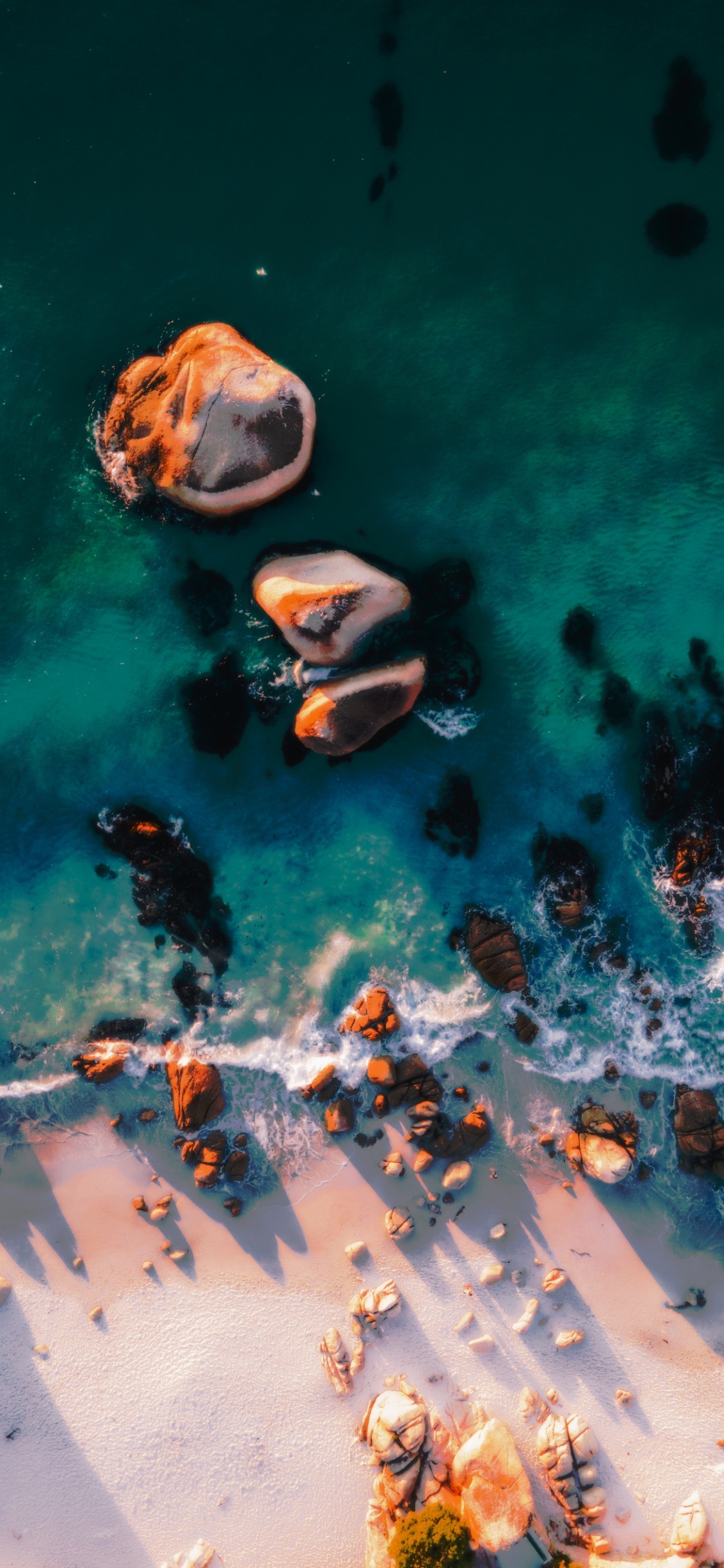 Wasser, Marine Biologie, Wissenschaft, Flüssigkeit, Unterwasser. Wallpaper in 1125x2436 Resolution