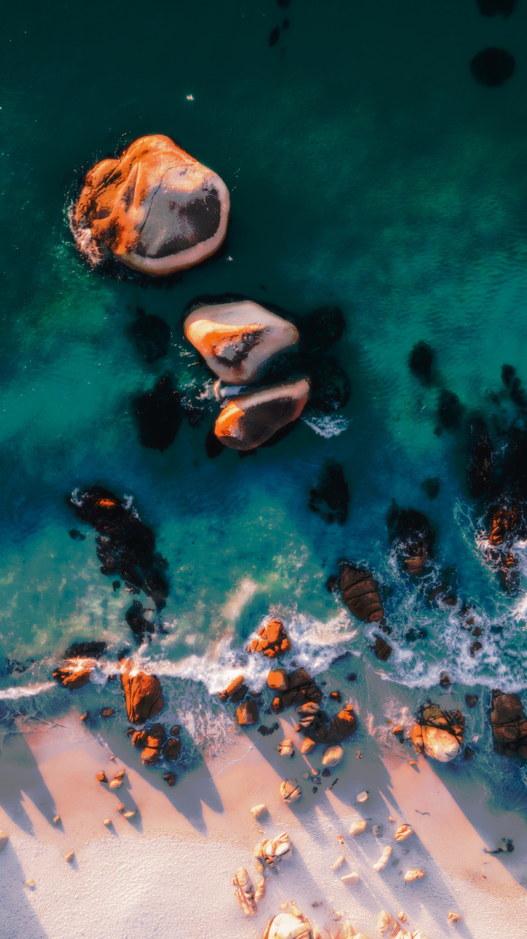 Water, Marine Biology, Science, Liquid, Fluid. Wallpaper in 750x1334 Resolution