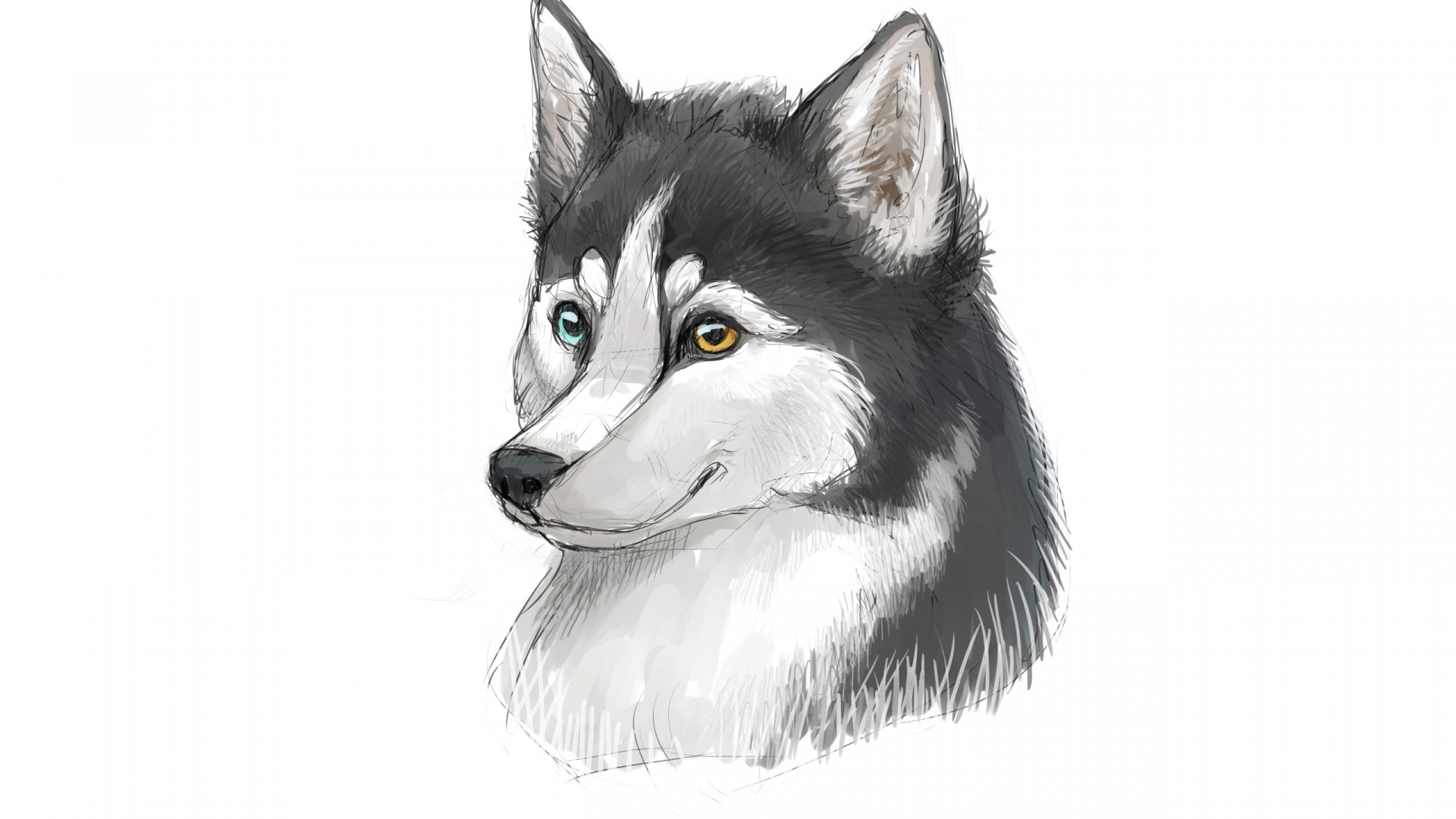 Schwarz-Weiß-Wolf-Abbildung. Wallpaper in 1920x1080 Resolution