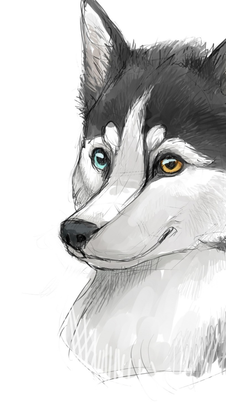 Black and White Wolf Illustration. Wallpaper in 720x1280 Resolution