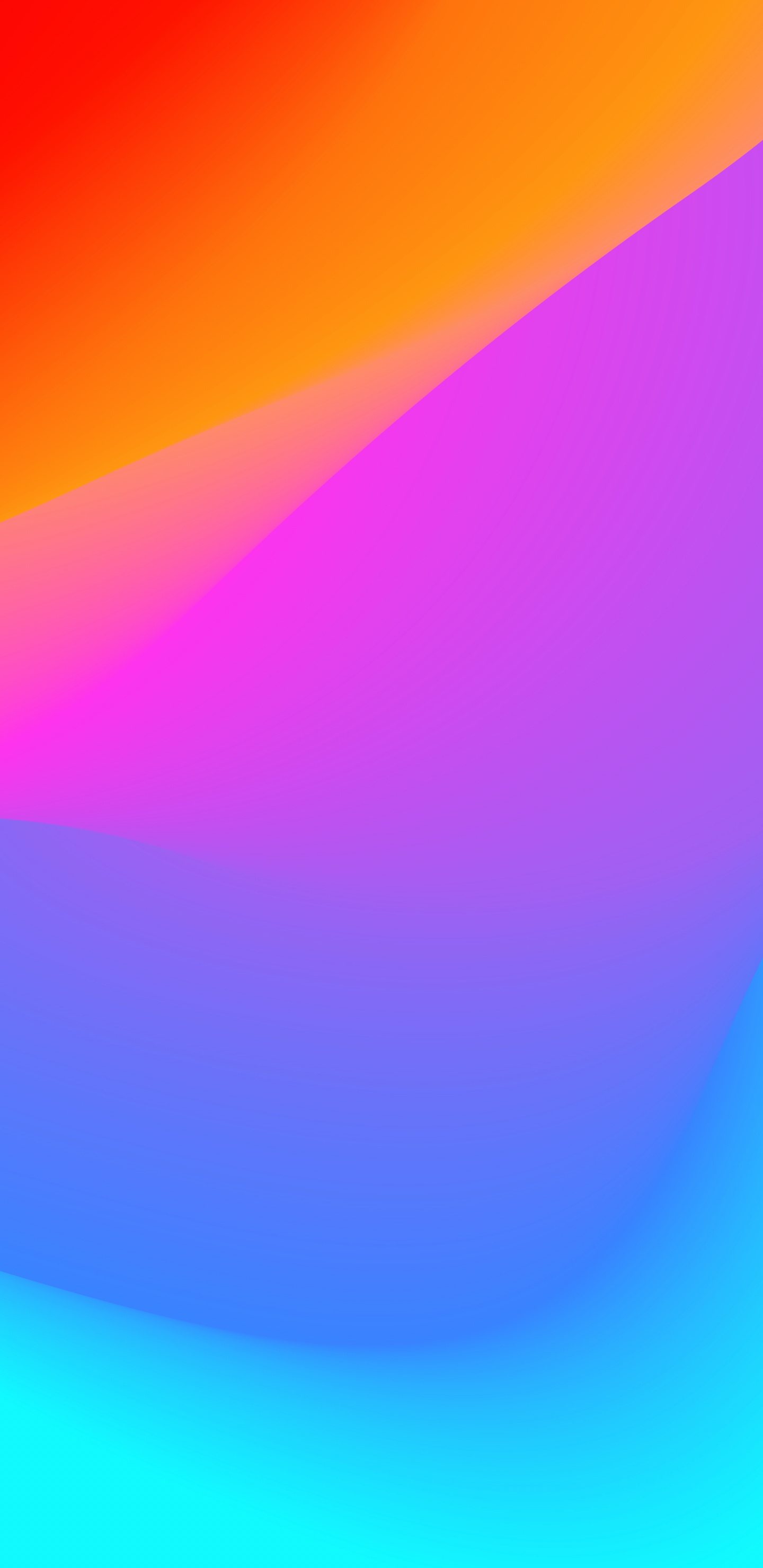 Orange, Farbigkeit, Purpur, Blau, Veilchen. Wallpaper in 1440x2960 Resolution