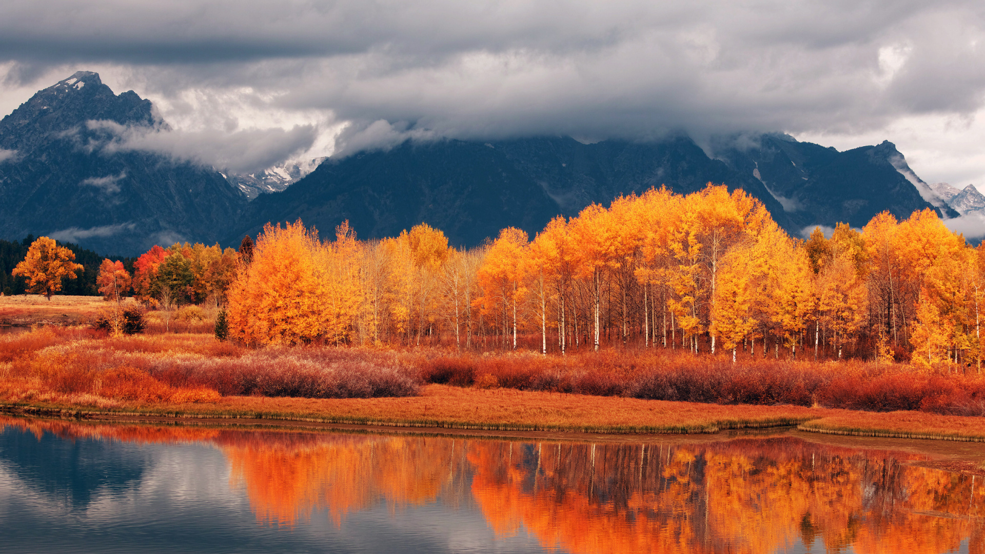 Red and Green Trees Near Lake Under Cloudy Sky During Daytime. Wallpaper in 1920x1080 Resolution
