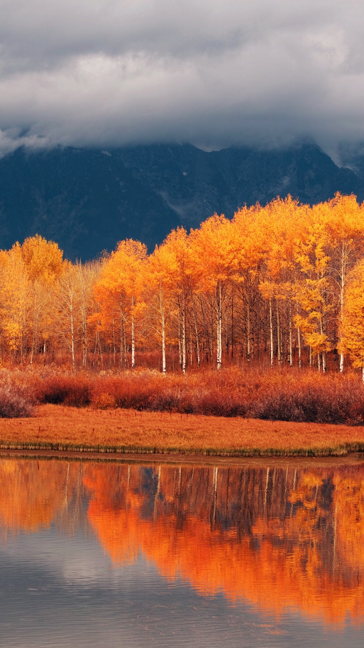 Red and Green Trees Near Lake Under Cloudy Sky During Daytime. Wallpaper in 720x1280 Resolution