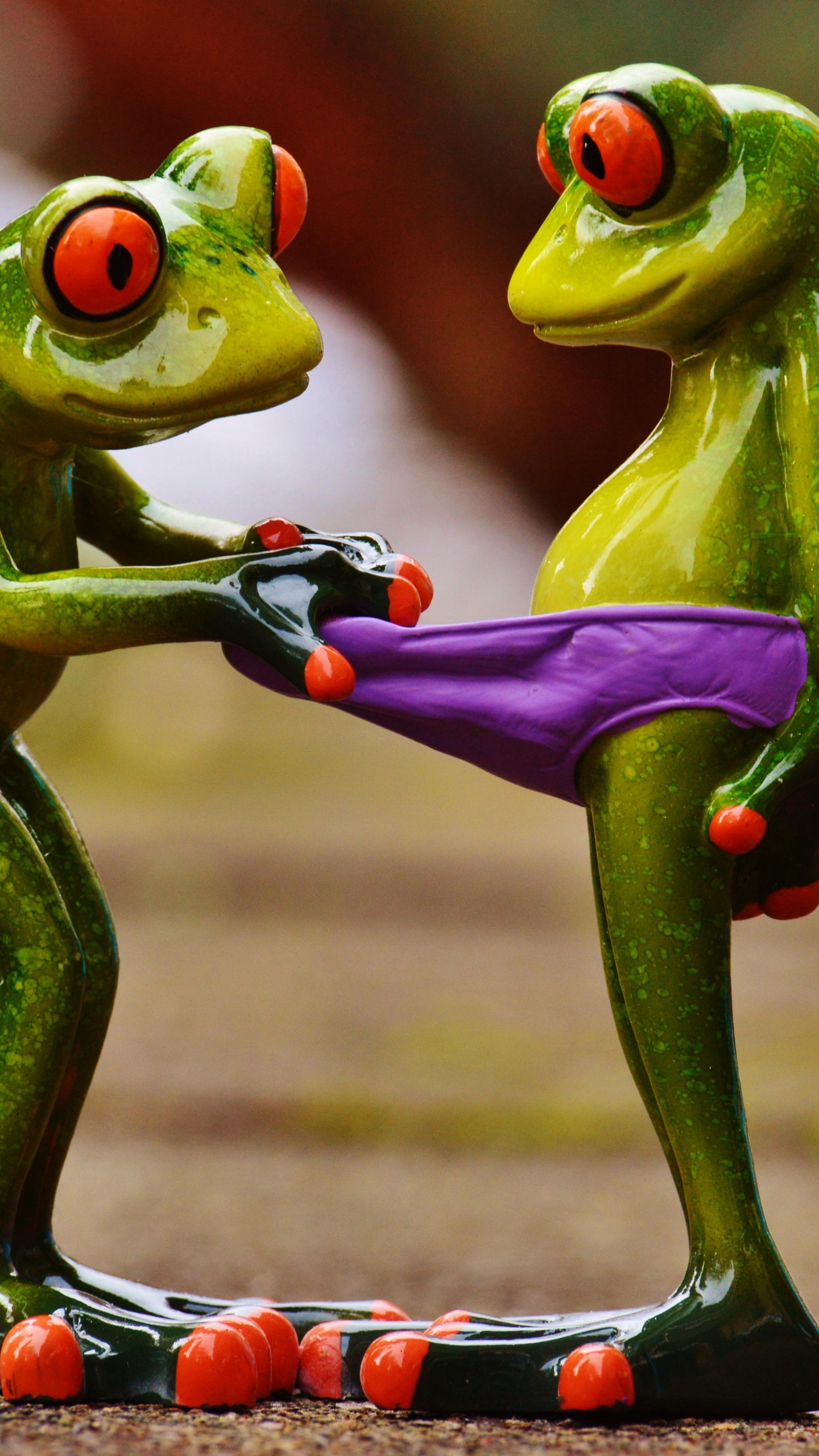 Funny Frogs, Frogs, Amphibians, Humour, Cuteness. Wallpaper in 1440x2560 Resolution