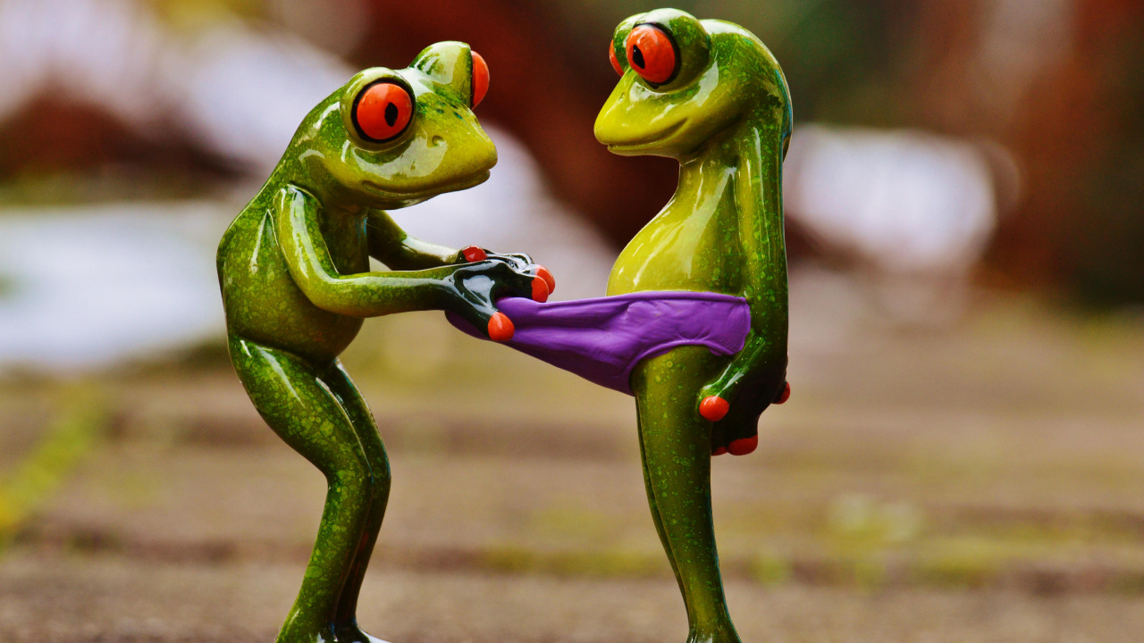 Lustige Frösche, Frogs, Humor, Niedlichkeit, Eleuths. Wallpaper in 1280x720 Resolution