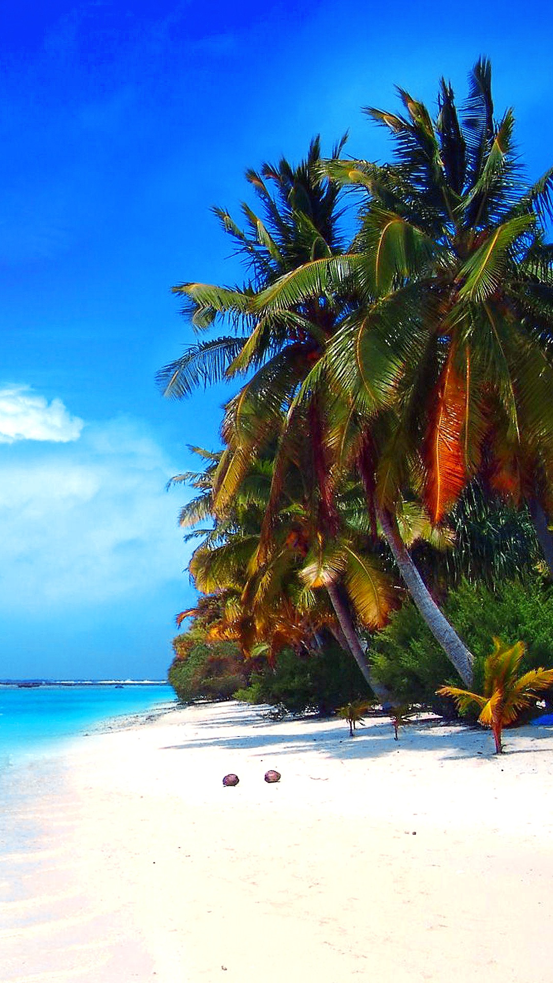 Tagsüber Grüne Palmen am Weißen Sandstrand. Wallpaper in 1080x1920 Resolution