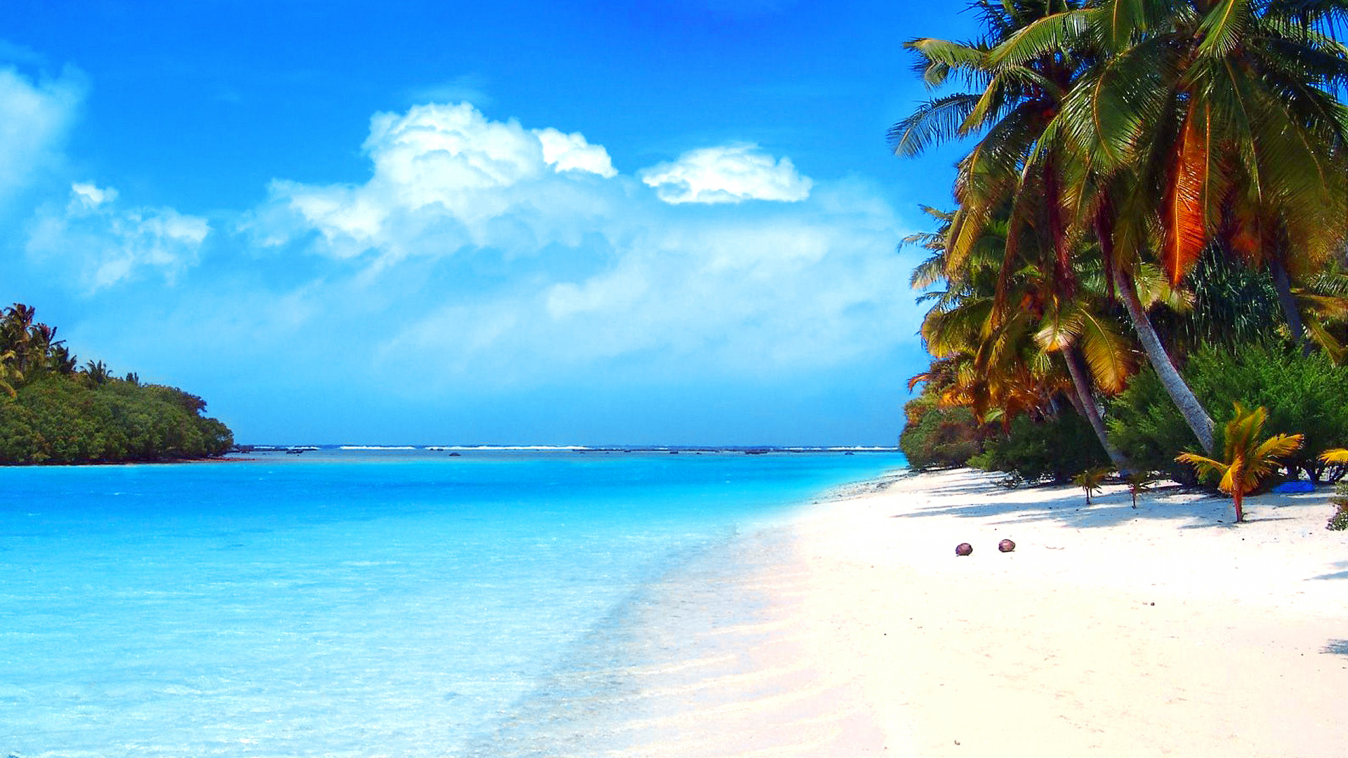 Palmiers Verts Sur la Plage de Sable Blanc Pendant la Journée. Wallpaper in 1920x1080 Resolution